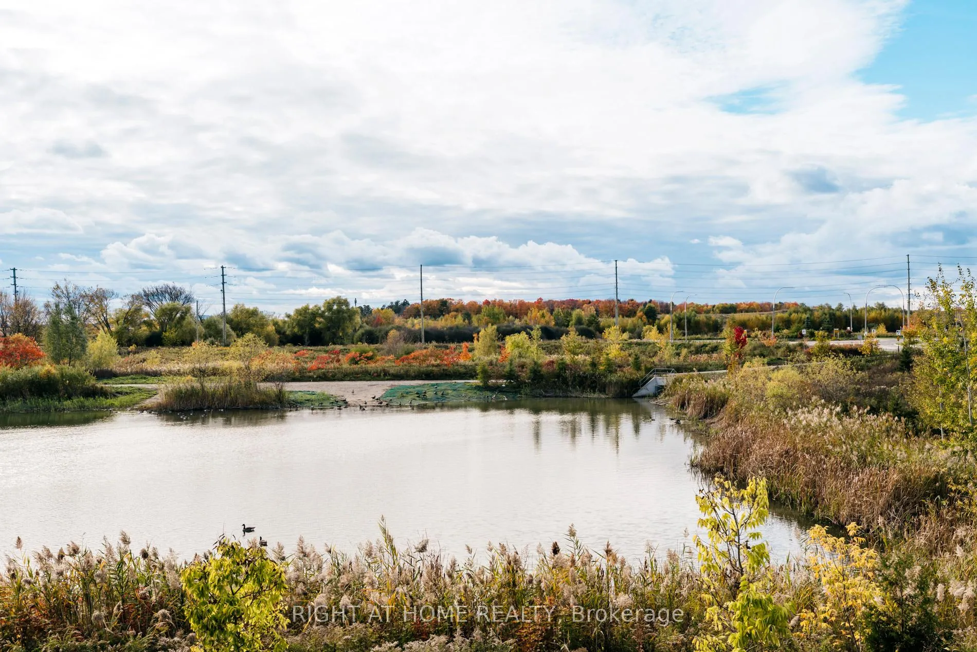 Photo 42 of 14 Velvet Drive, Whitby, Rural Whitby — HOMEH
