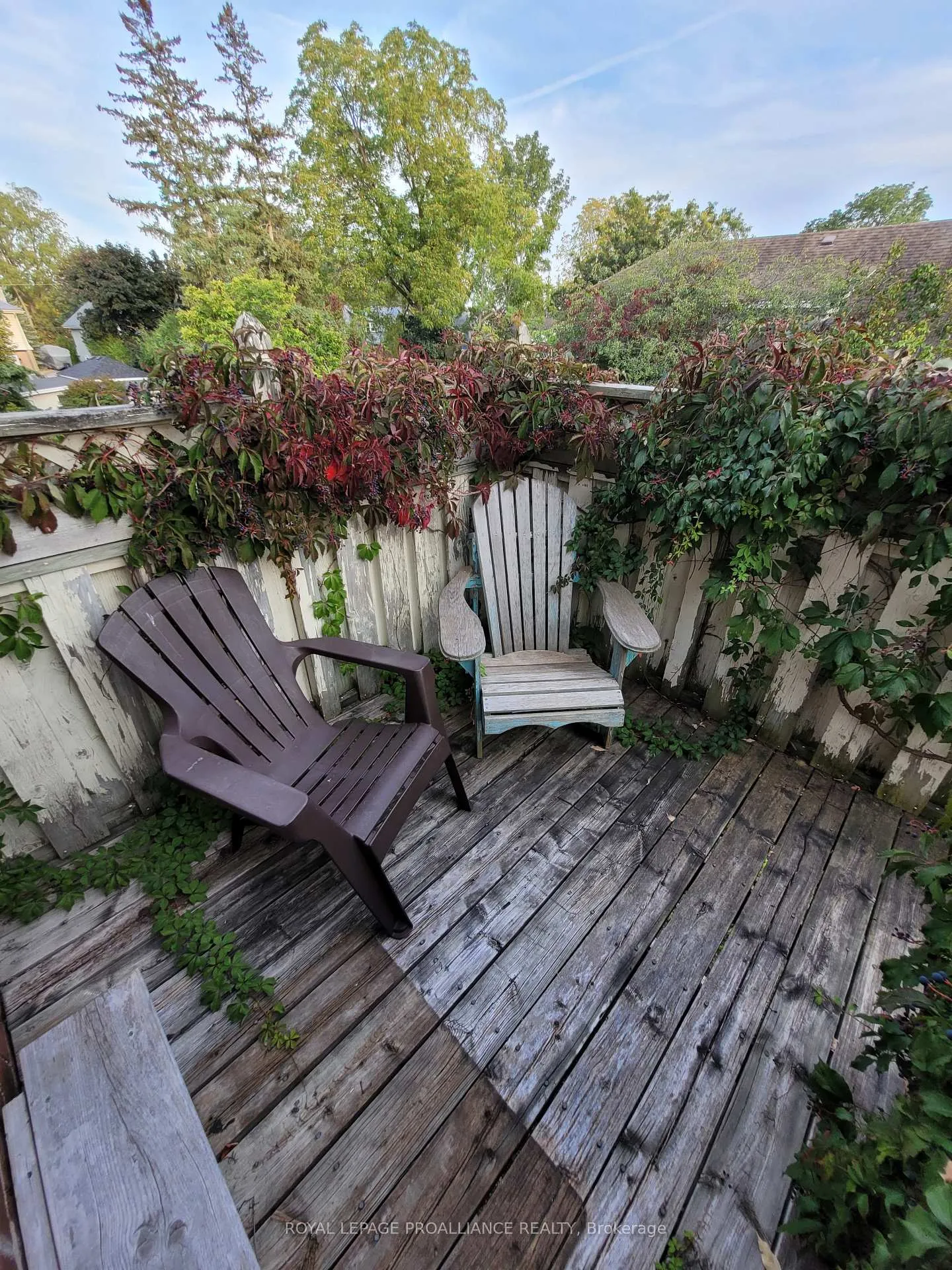 Photo 19 of 335 Albert Street, Belleville, Belleville Ward — HOMEH