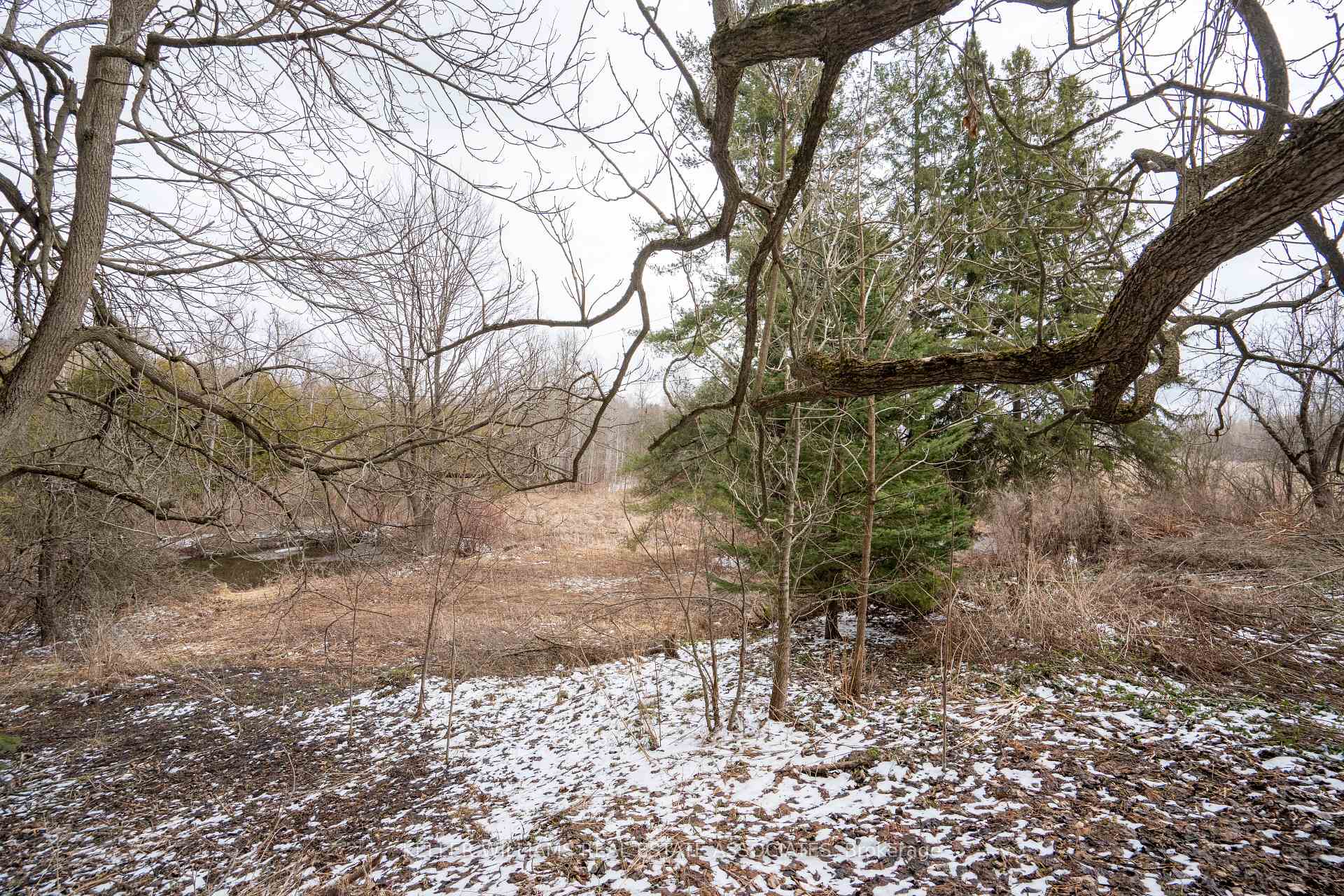 Photo 50 of 4974 Fourth Line, Erin, Rural Erin — HOMEH