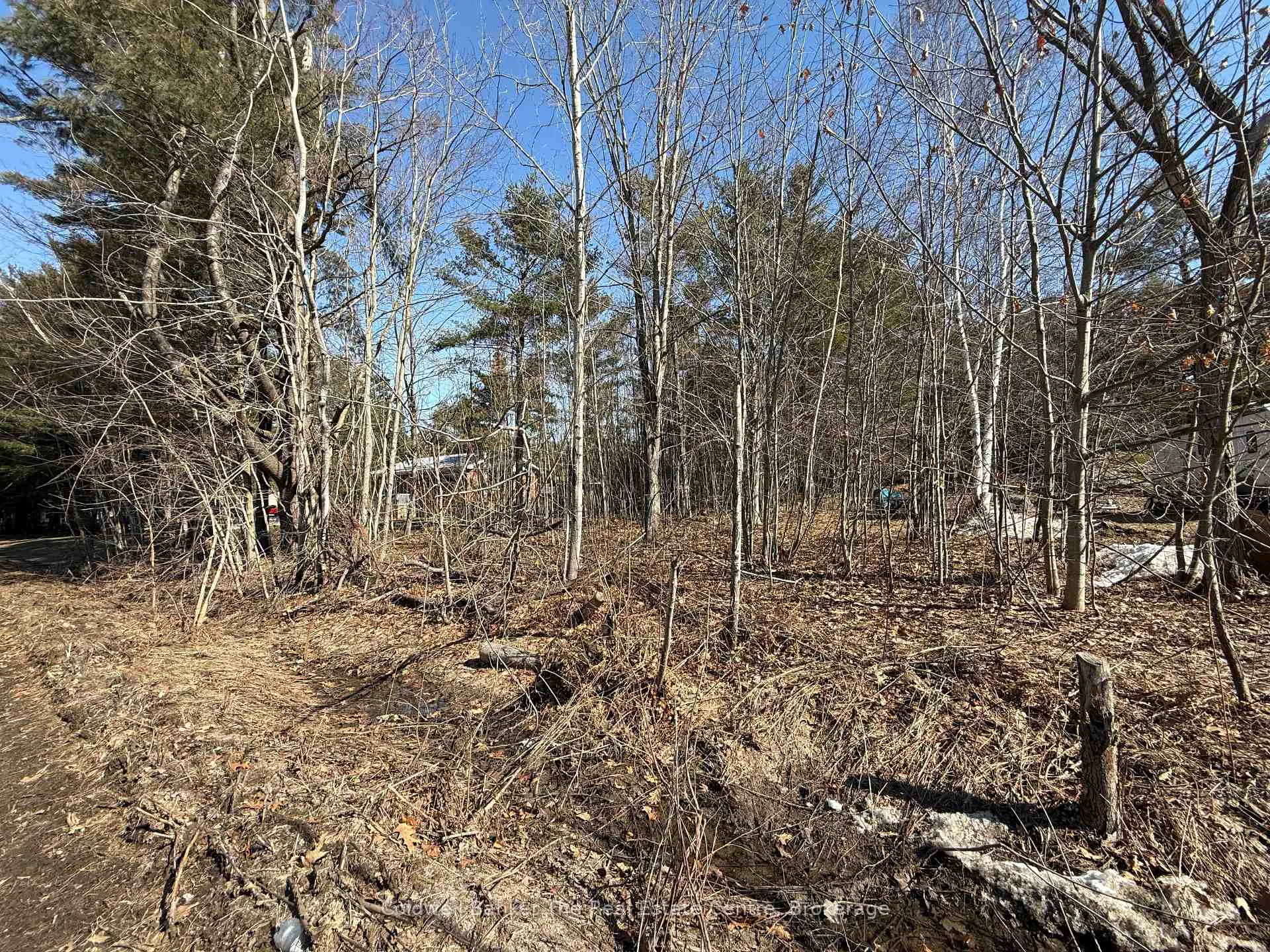 Front of Vacant Lot Pinedale Road