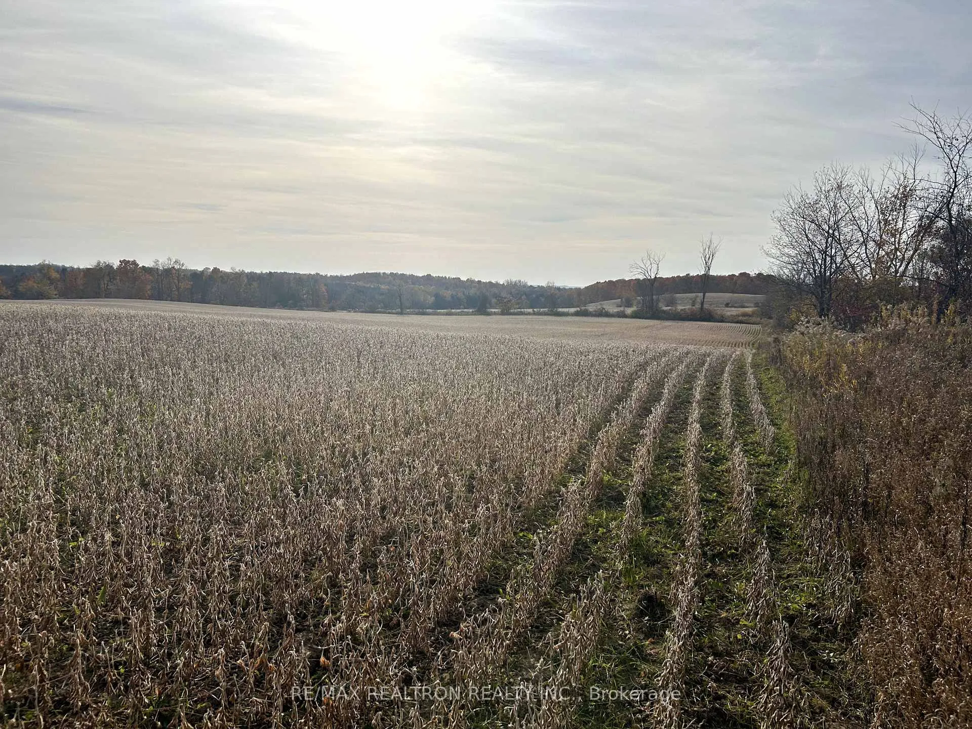 Photo 35 of 833160 4th Line Ehs, Mono, Rural Mono — HOMEH