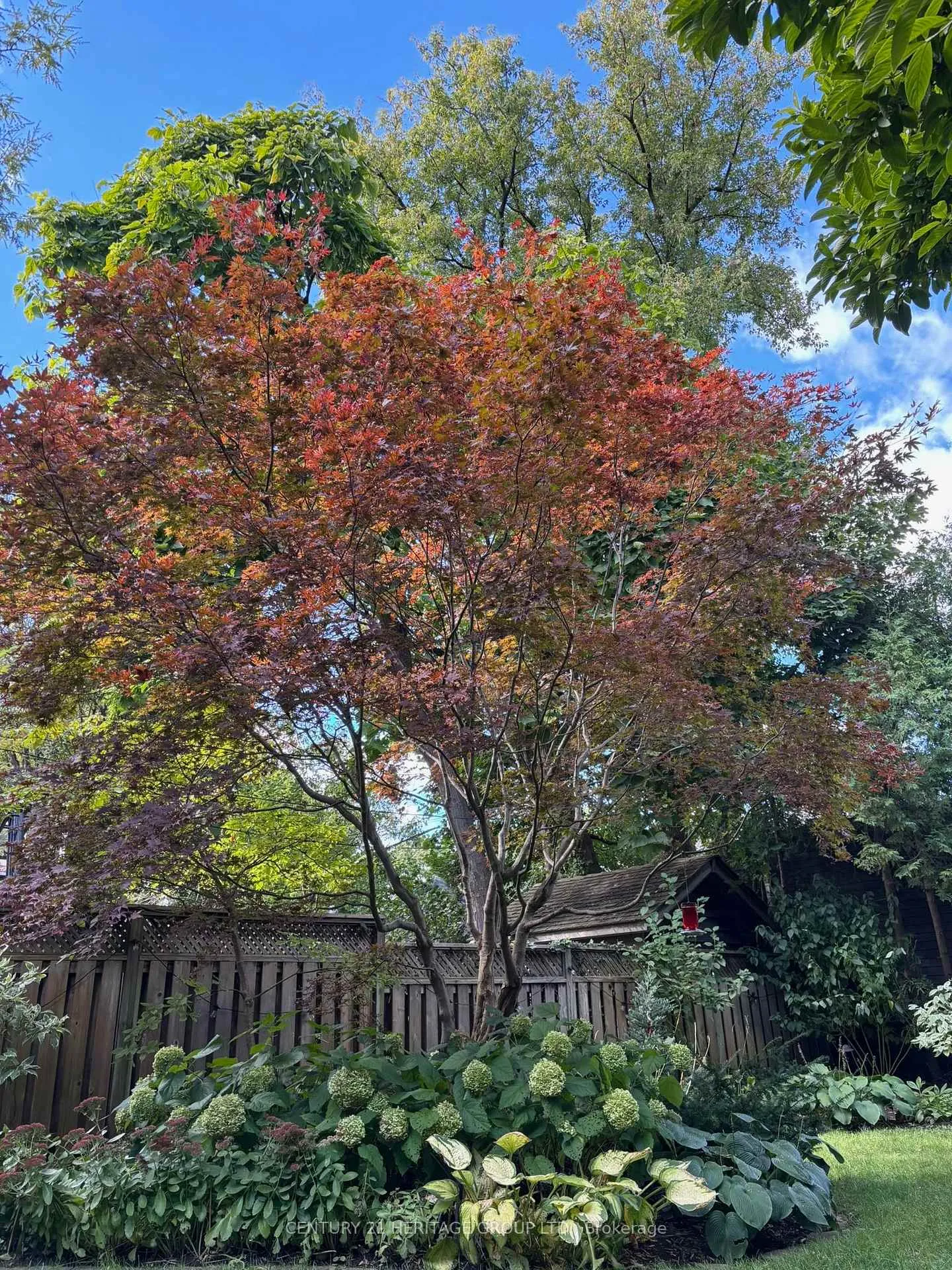 Photo 31 of 520 Briar Hill Avenue, Toronto, Lawrence Park South — HOMEH