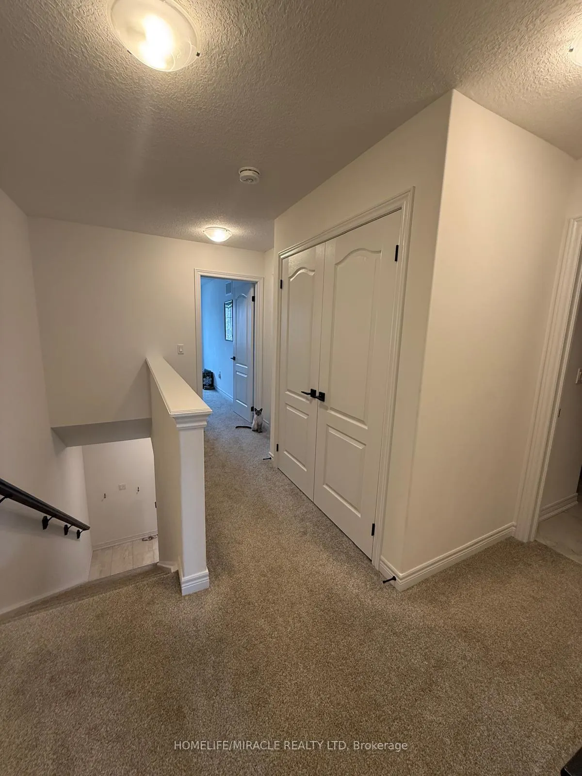 Photo 15 of 118 Mullin Street, Grey Highlands — HOMEH