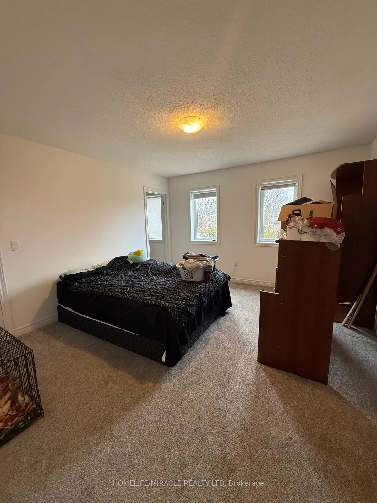Photo 16 of 118 Mullin Street, Grey Highlands — HOMEH
