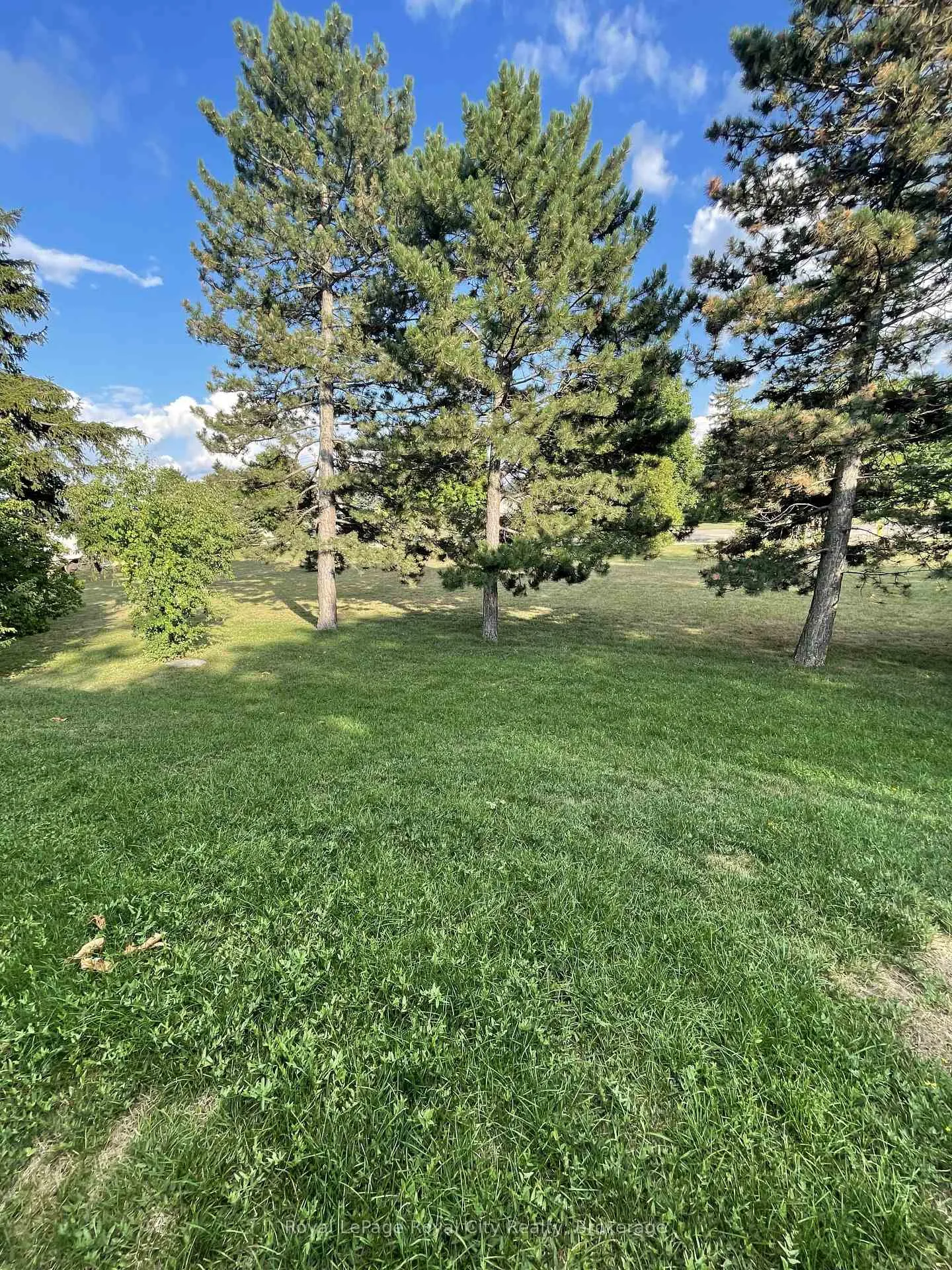 Photo 6 of 245 Speedvale Avenue W, Guelph, Junction/Onward Willow — HOMEH