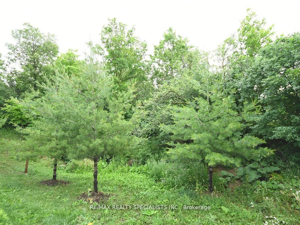 Photo 32 of 42 Midcrest Circle, Brampton, Credit Valley — HOMEH