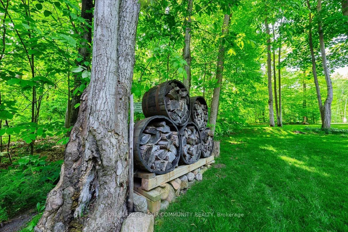 Photo 47 of 37 Heron Boulevard, Springwater, Snow Valley — HOMEH