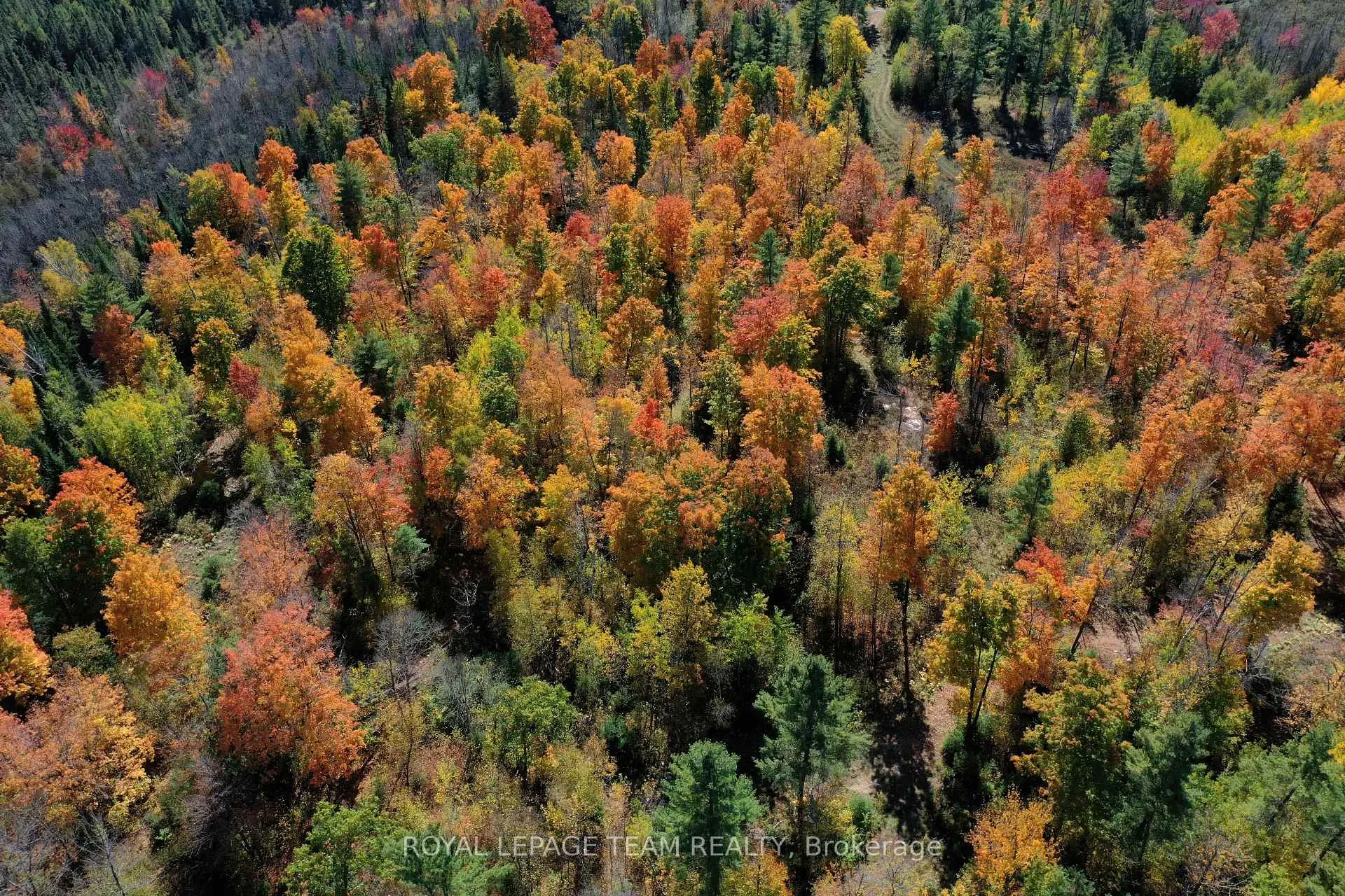 Photo 5 of 00 K&p Trail, Lanark Highlands, Lanark Highlands (Lavant) Twp — HOMEH