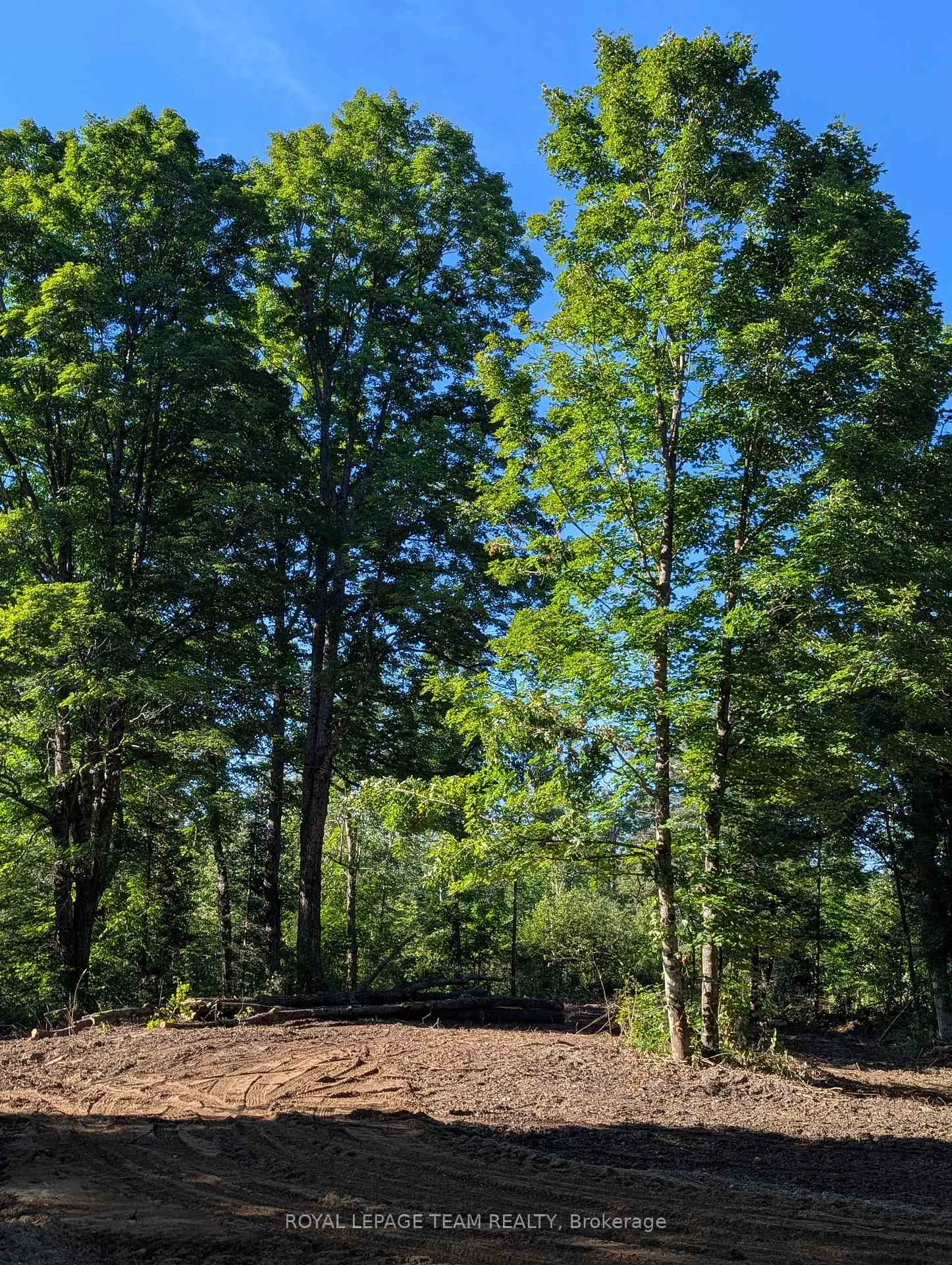 Photo 7 of 00 K&p Trail, Lanark Highlands, Lanark Highlands (Lavant) Twp — HOMEH