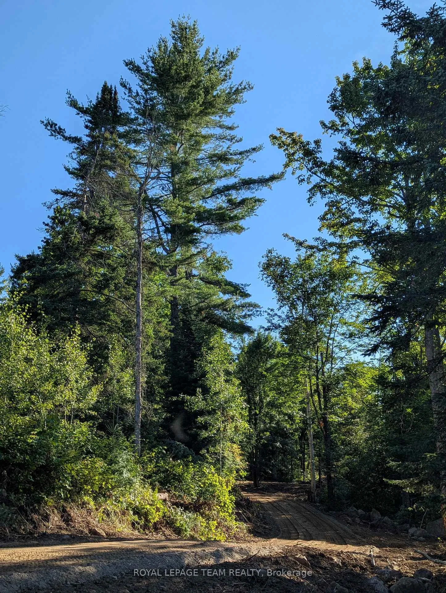 Photo 8 of 00 K&p Trail, Lanark Highlands, Lanark Highlands (Lavant) Twp — HOMEH