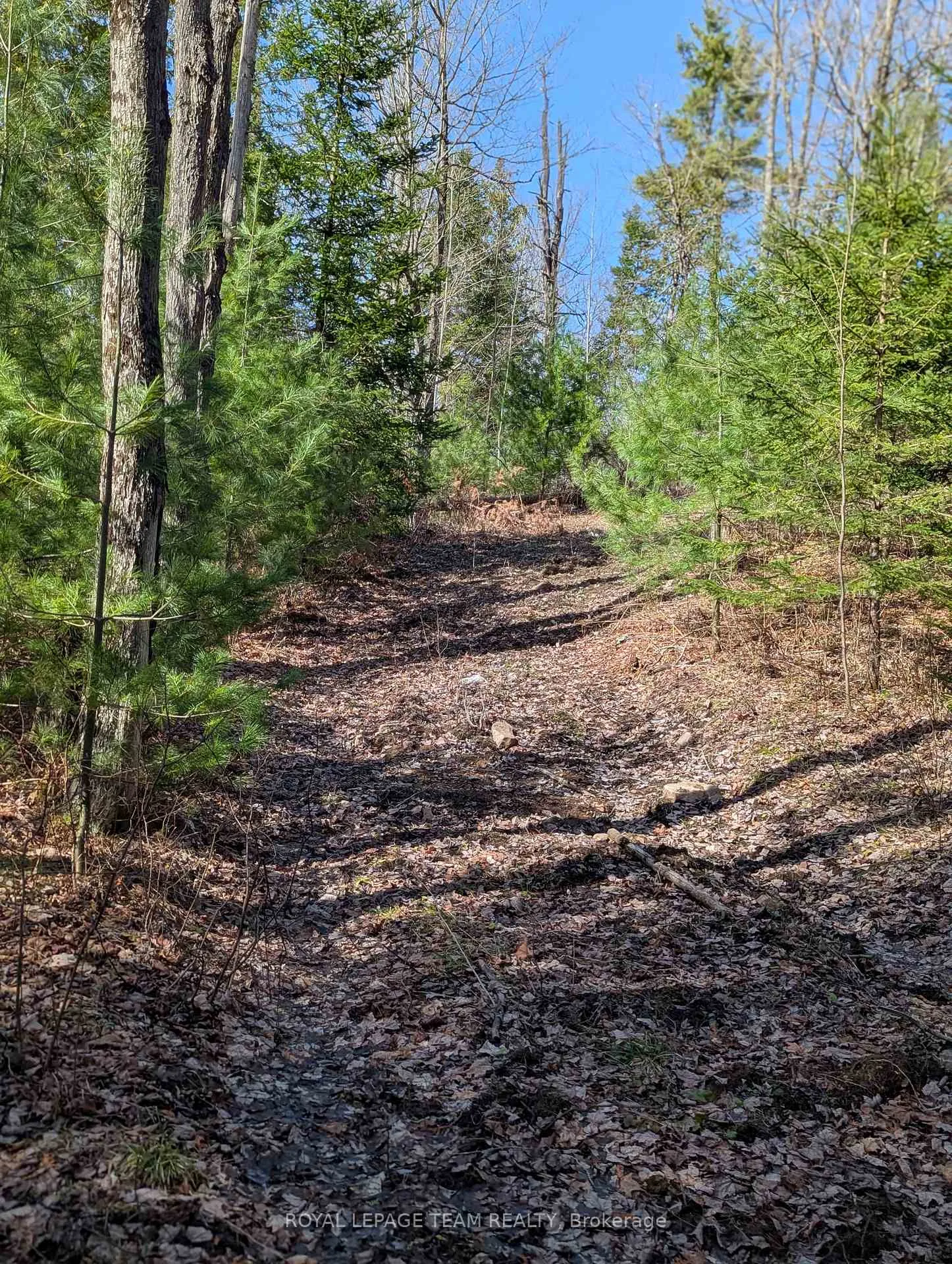 Photo 27 of 00 K&p Trail, Lanark Highlands, Lanark Highlands (Lavant) Twp — HOMEH