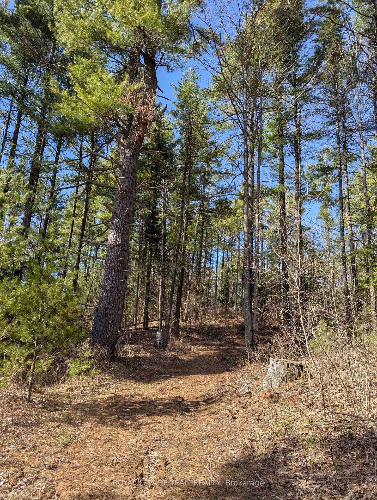 Photo 34 of 00 K&p Trail, Lanark Highlands, Lanark Highlands (Lavant) Twp — HOMEH