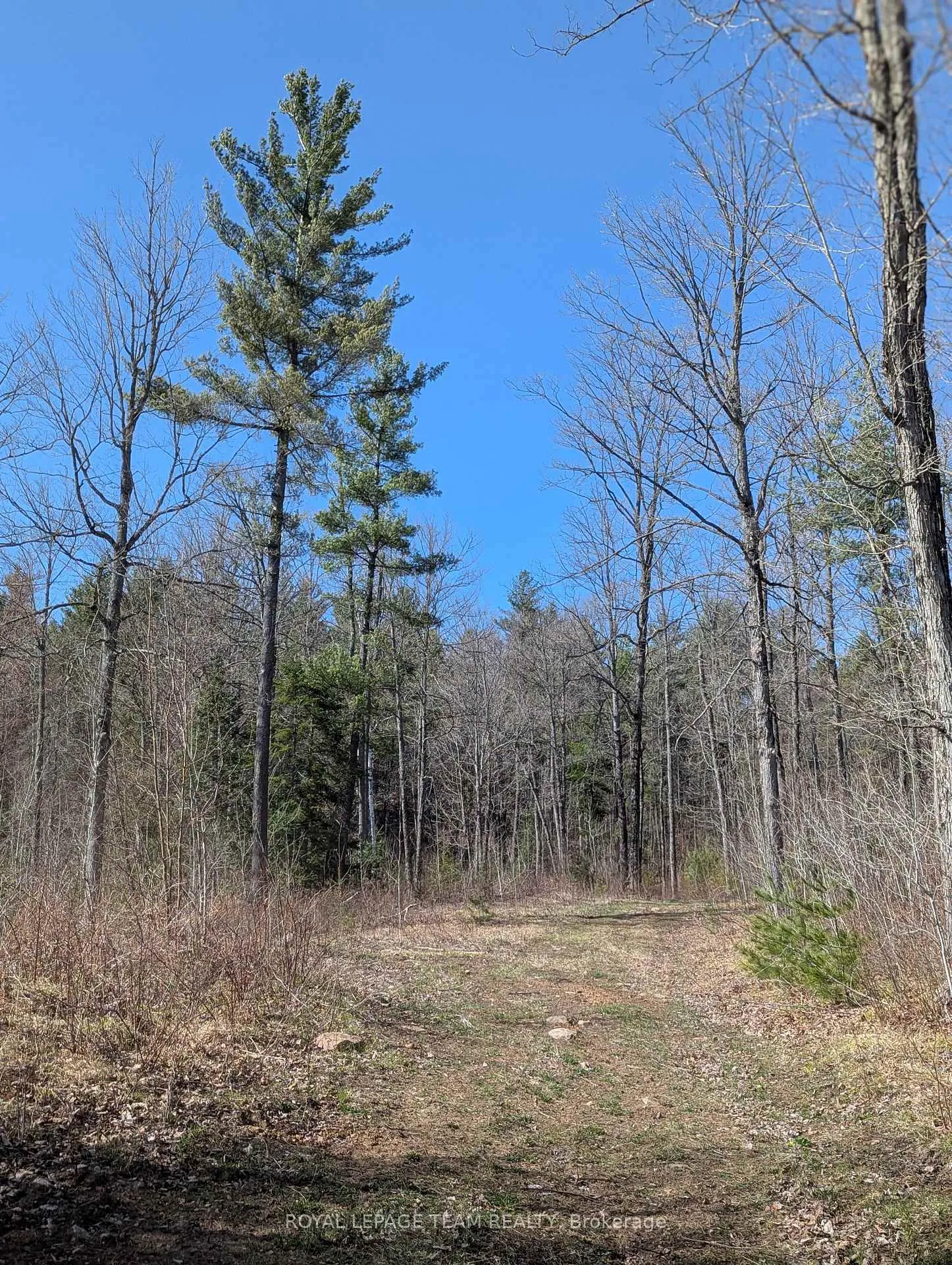 Photo 35 of 00 K&p Trail, Lanark Highlands, Lanark Highlands (Lavant) Twp — HOMEH