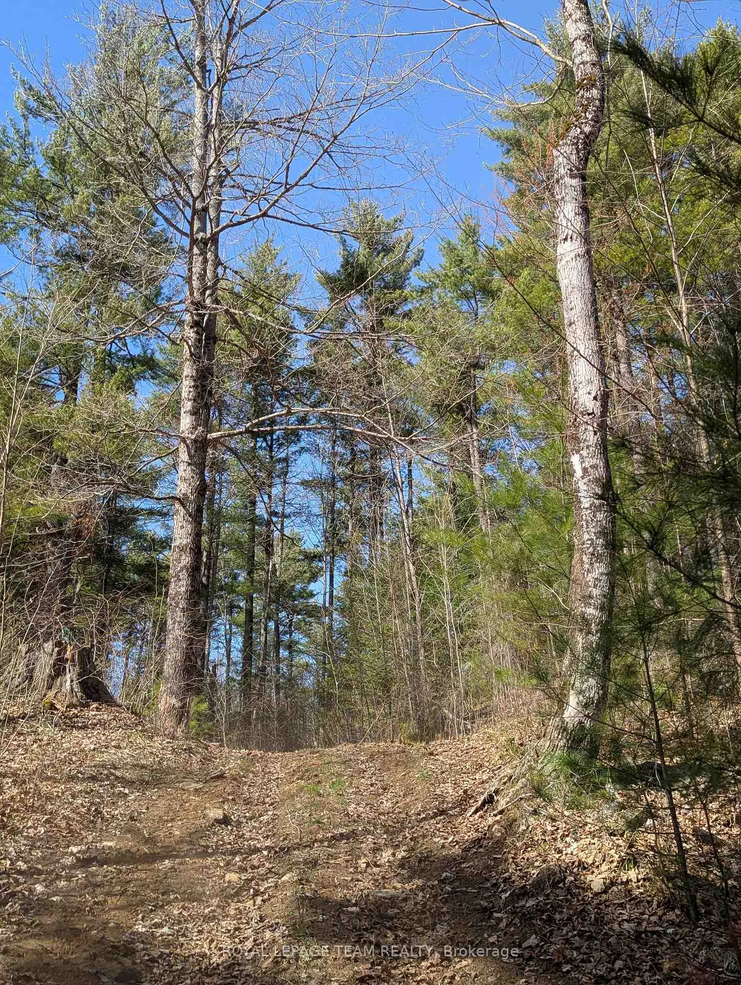 Photo 36 of 00 K&p Trail, Lanark Highlands, Lanark Highlands (Lavant) Twp — HOMEH