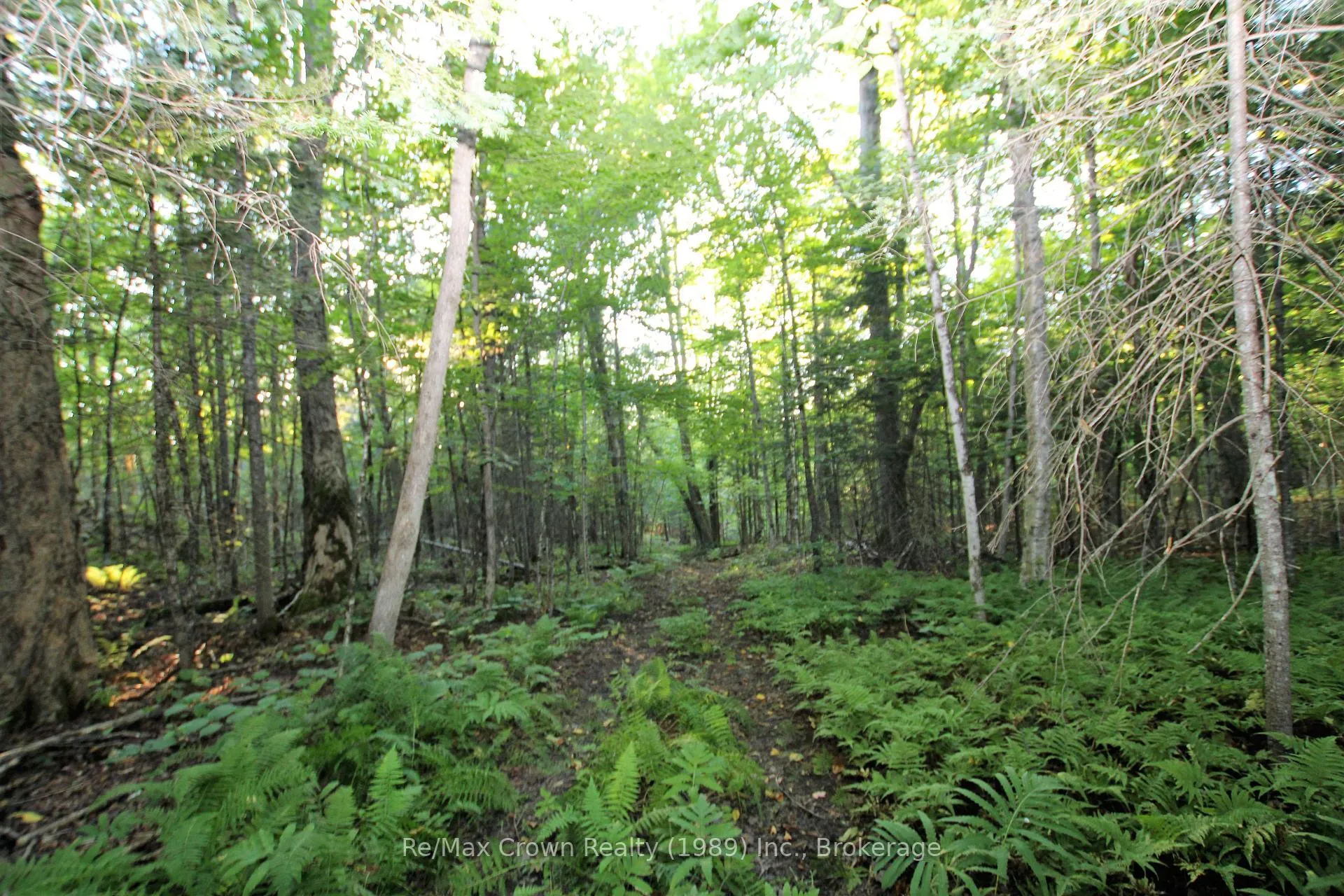 Photo 3 of 00 Pilgers Road, Nipissing — HOMEH