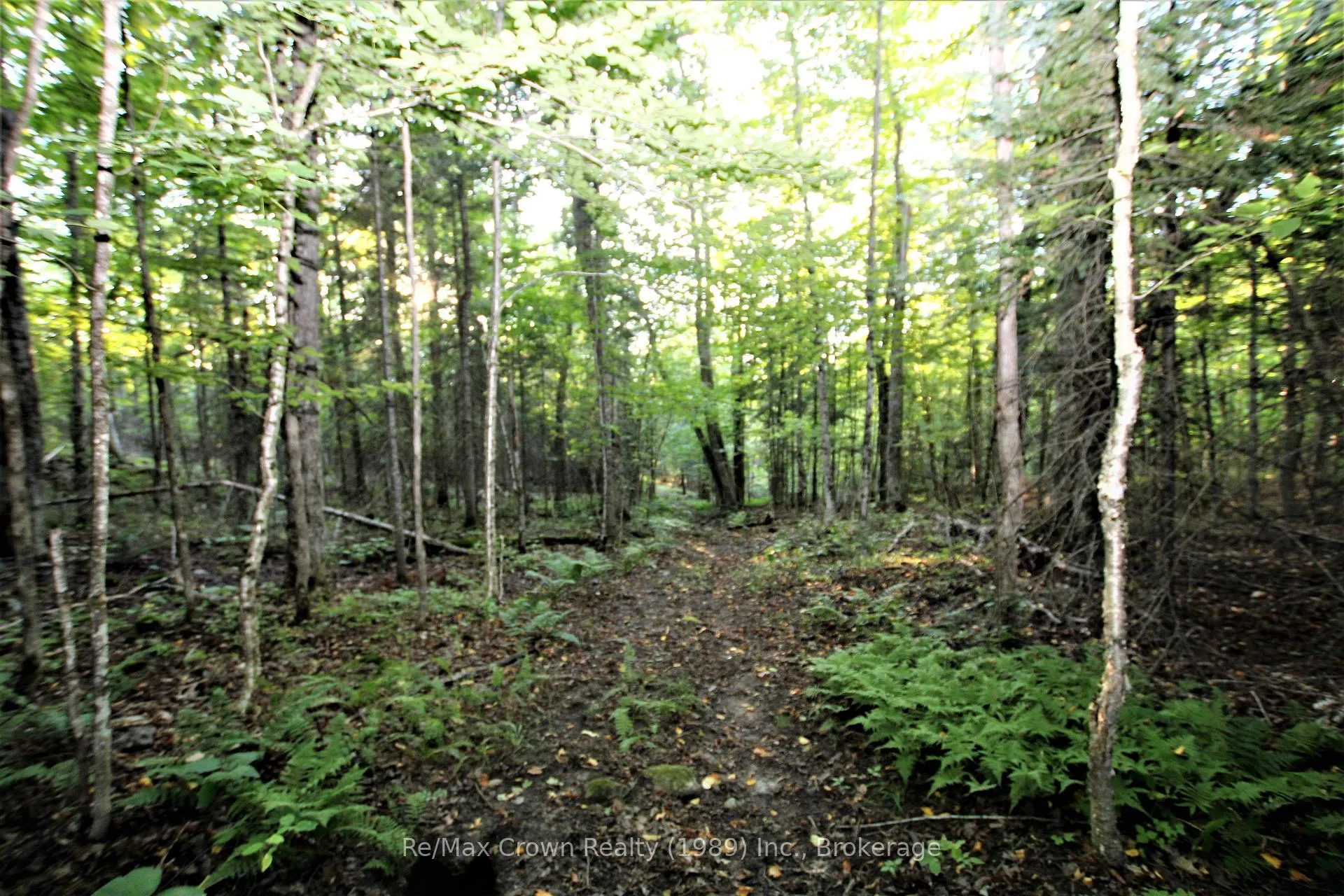 Photo 4 of 00 Pilgers Road, Nipissing — HOMEH