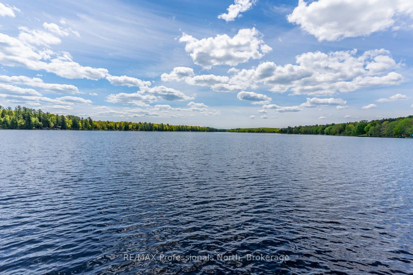 Photo 34 of 1363 Walker Line, Algonquin Highlands — HOMEH