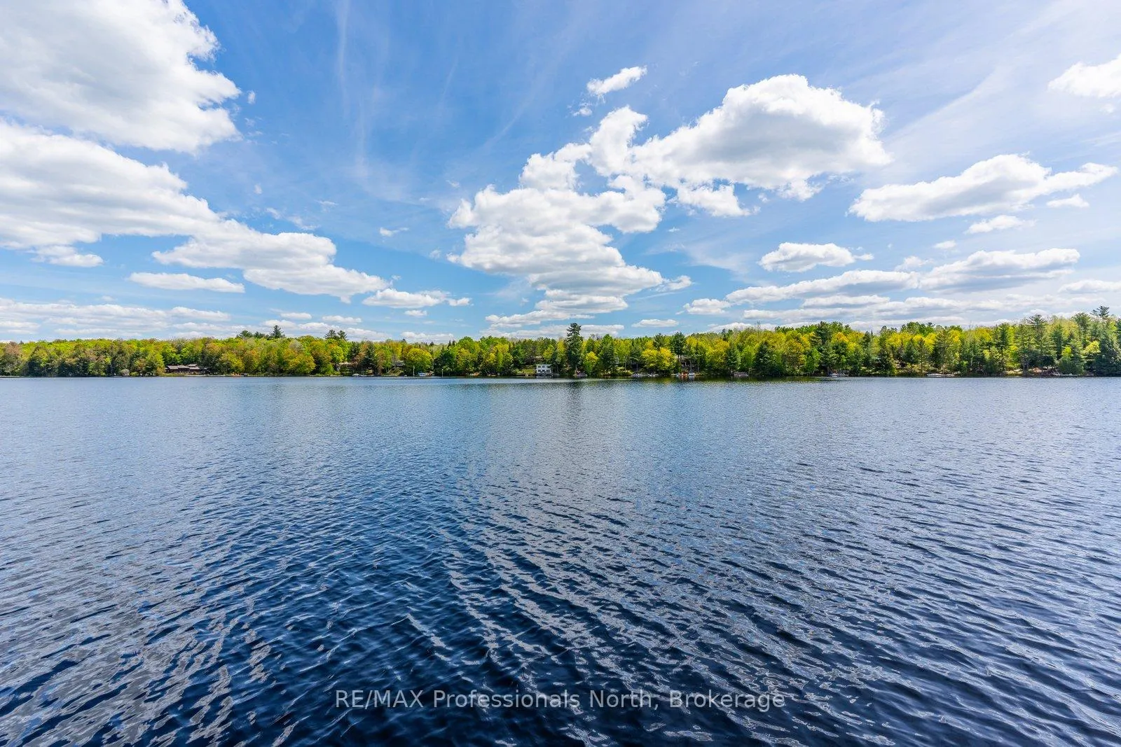 Photo 35 of 1363 Walker Line, Algonquin Highlands — HOMEH