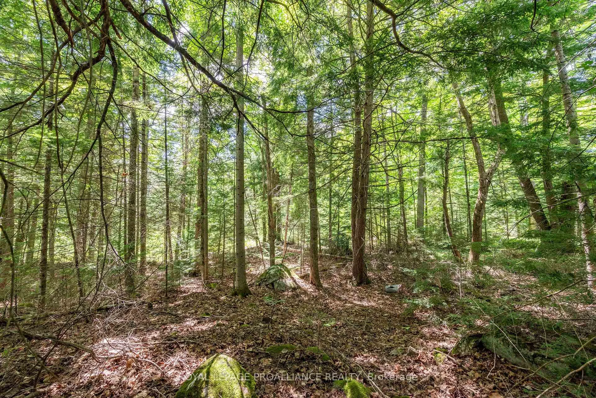 Photo 1 of Buckshot Lake Road, North Frontenac, Frontenac North — HOMEH