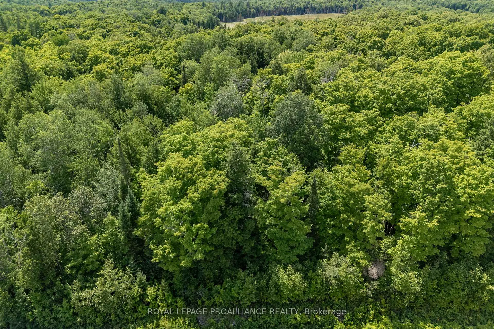 Photo 5 of Buckshot Lake Road, North Frontenac, Frontenac North — HOMEH