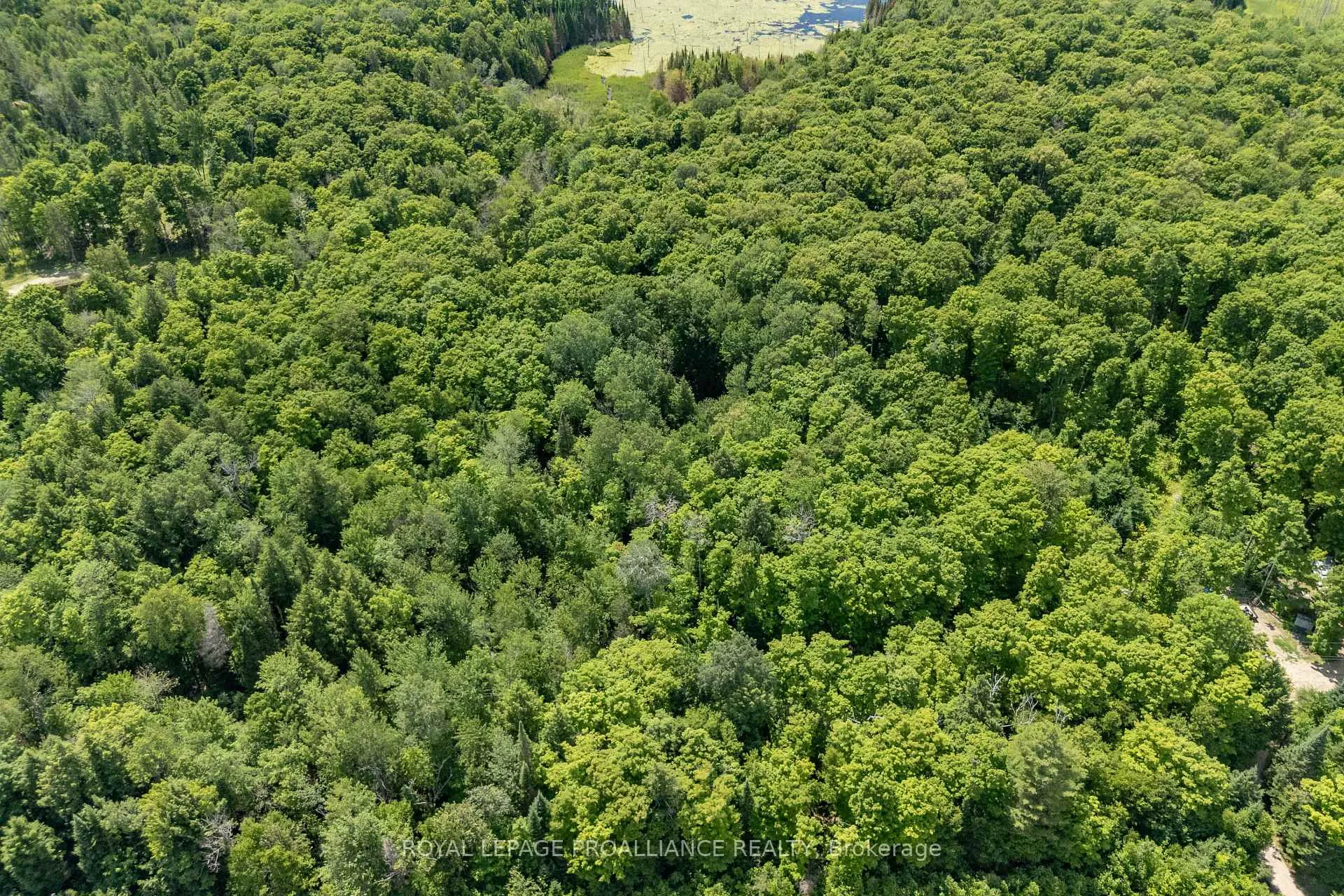 Photo 6 of Buckshot Lake Road, North Frontenac, Frontenac North — HOMEH