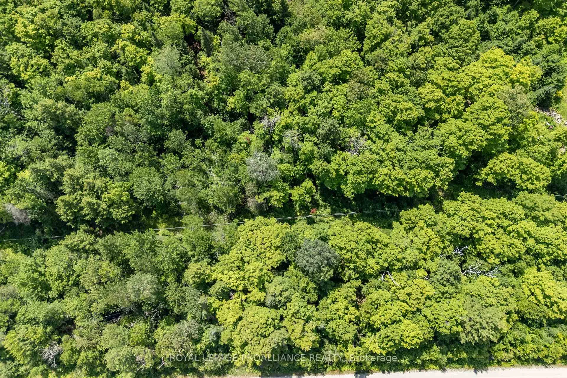 Photo 9 of Buckshot Lake Road, North Frontenac, Frontenac North — HOMEH