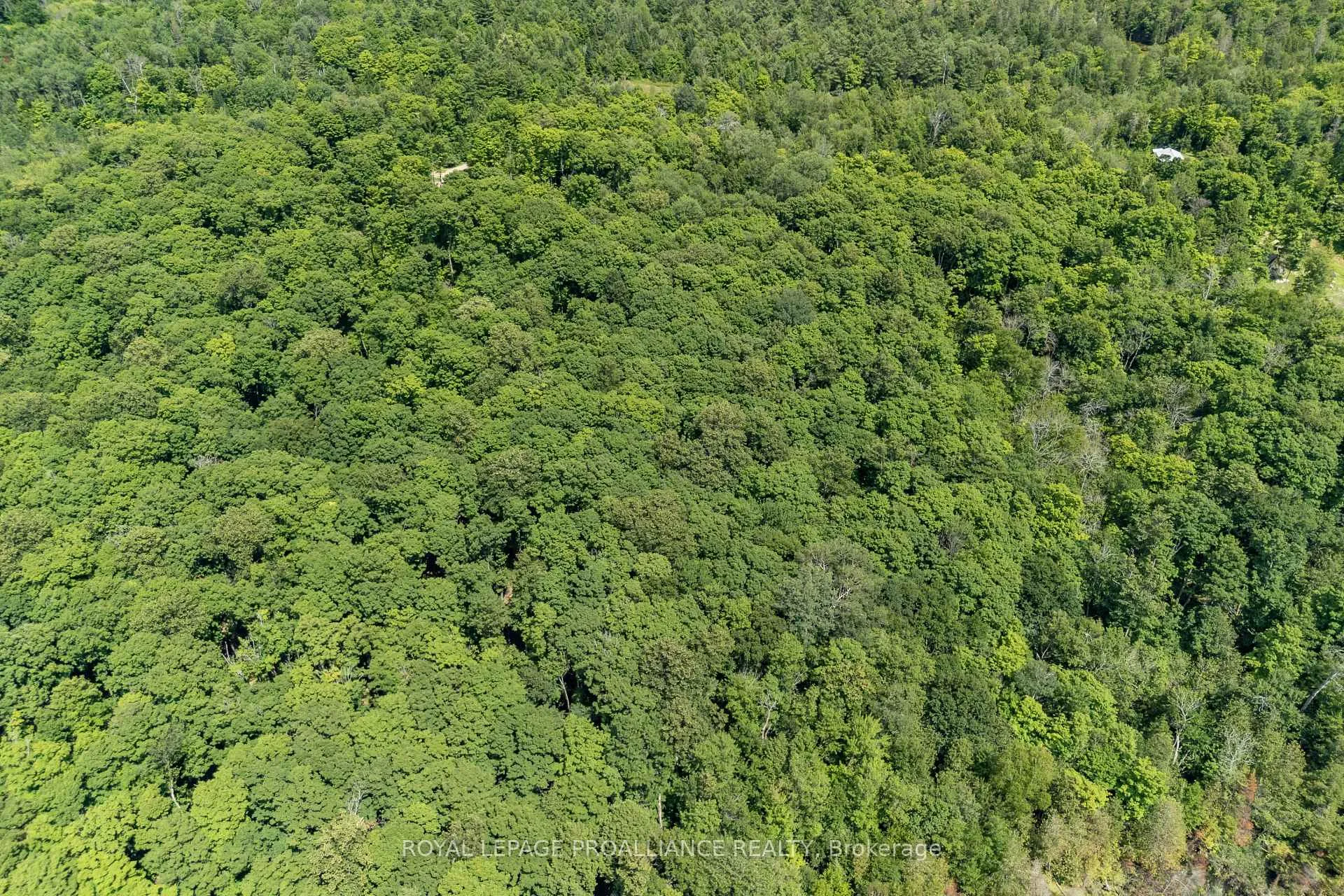 Photo 10 of Buckshot Lake Road, North Frontenac, Frontenac North — HOMEH