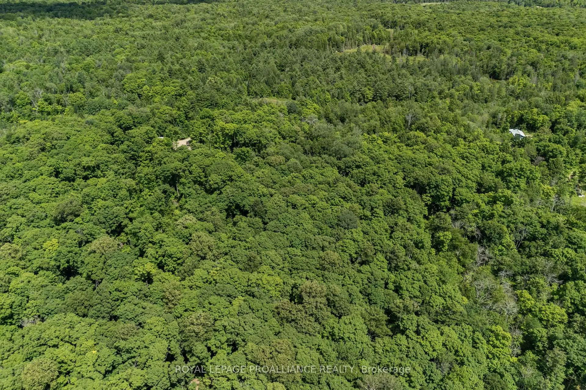Photo 11 of Buckshot Lake Road, North Frontenac, Frontenac North — HOMEH