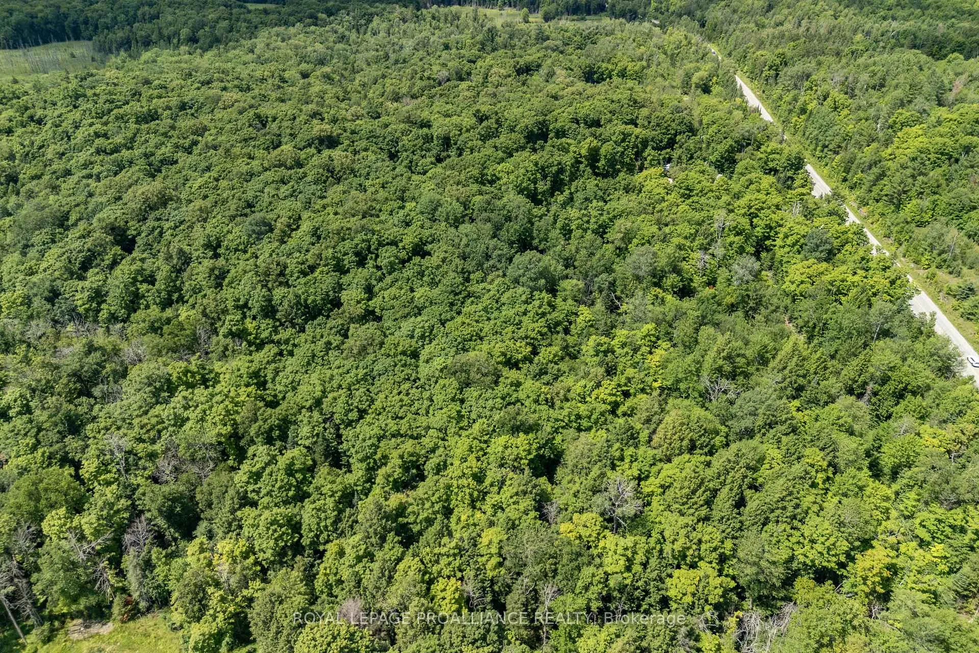 Photo 15 of Buckshot Lake Road, North Frontenac, Frontenac North — HOMEH