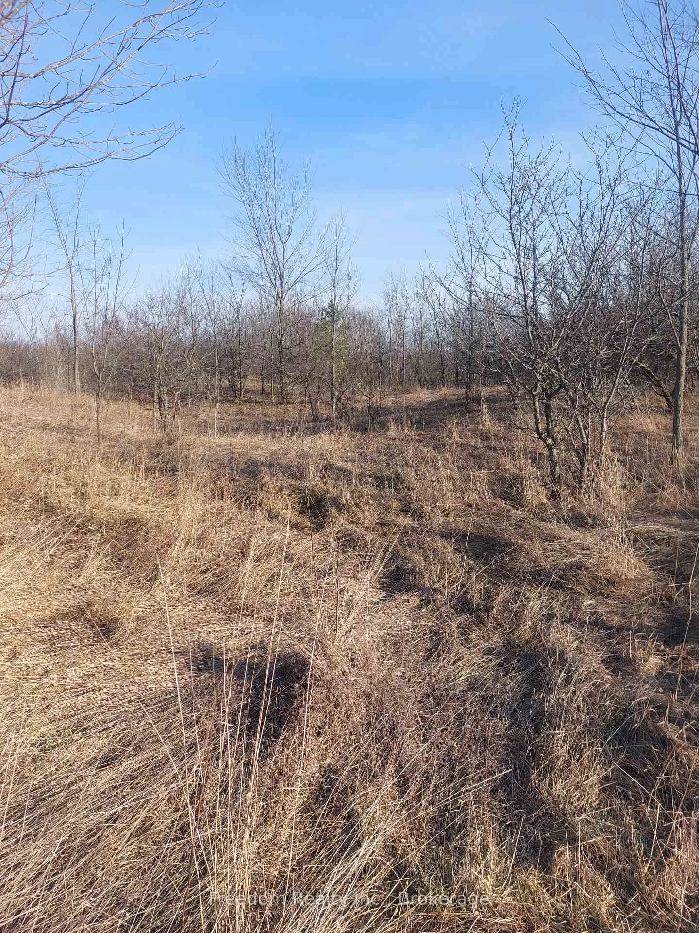 Photo 3 of 796193 3rd Line E, Mulmur, Rural Mulmur — HOMEH