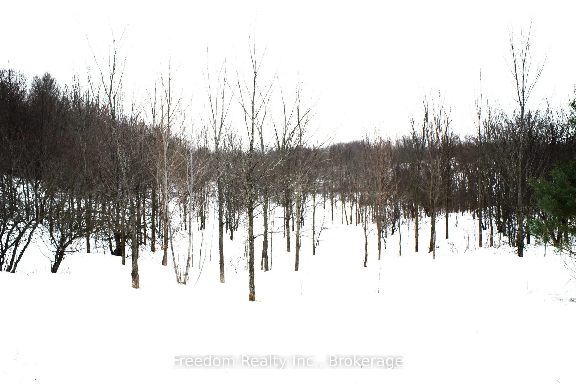Photo 4 of 796193 3rd Line E, Mulmur, Rural Mulmur — HOMEH