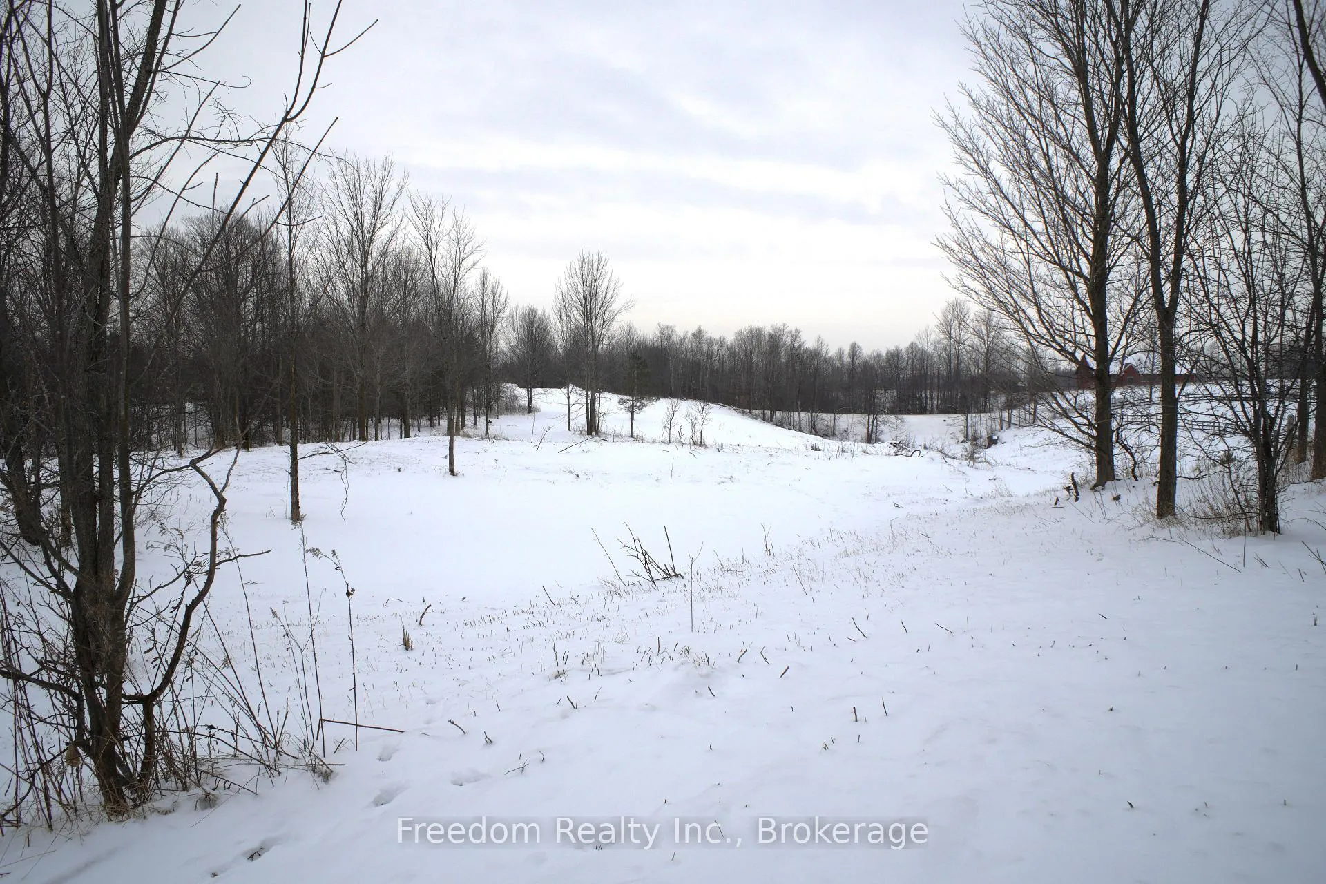 Photo 7 of 796193 3rd Line E, Mulmur, Rural Mulmur — HOMEH