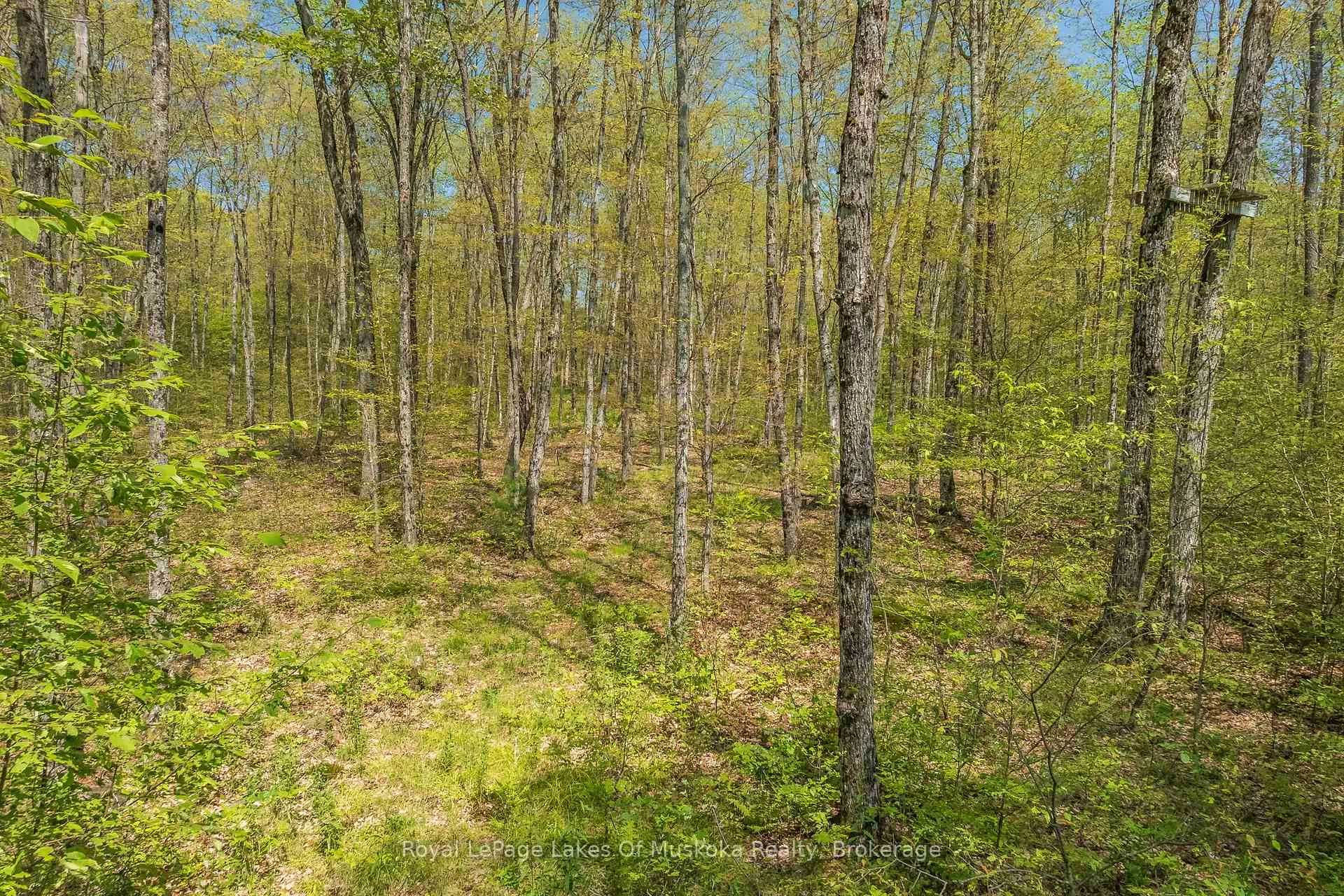 Photo 39 of 1101 Starratt Road, Ryerson — HOMEH