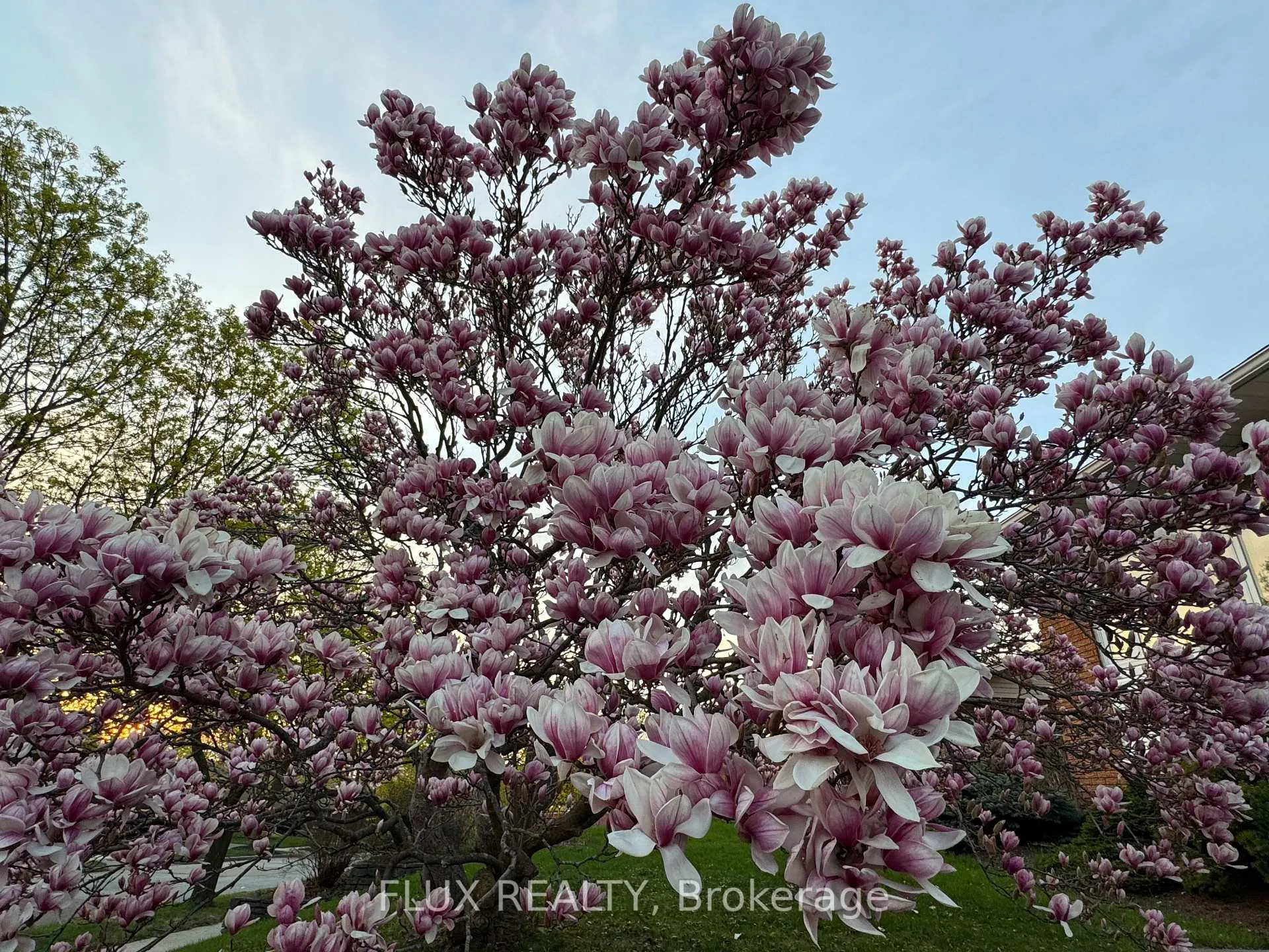 Photo 32 of 212 Winfield Avenue, Waterloo — HOMEH