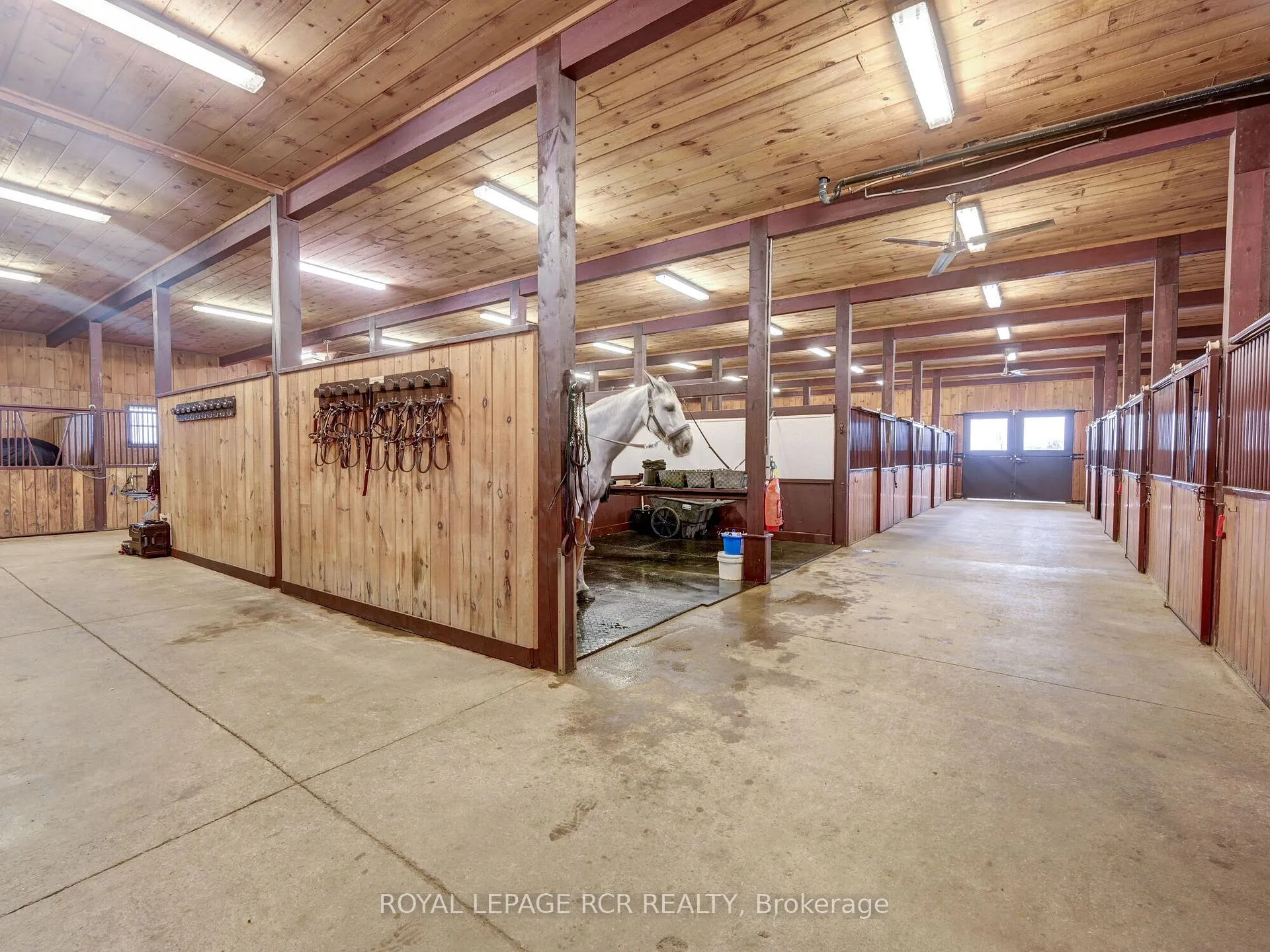 Photo 6 of 9759 Castlederg Side Road, Caledon, Rural Caledon — HOMEH
