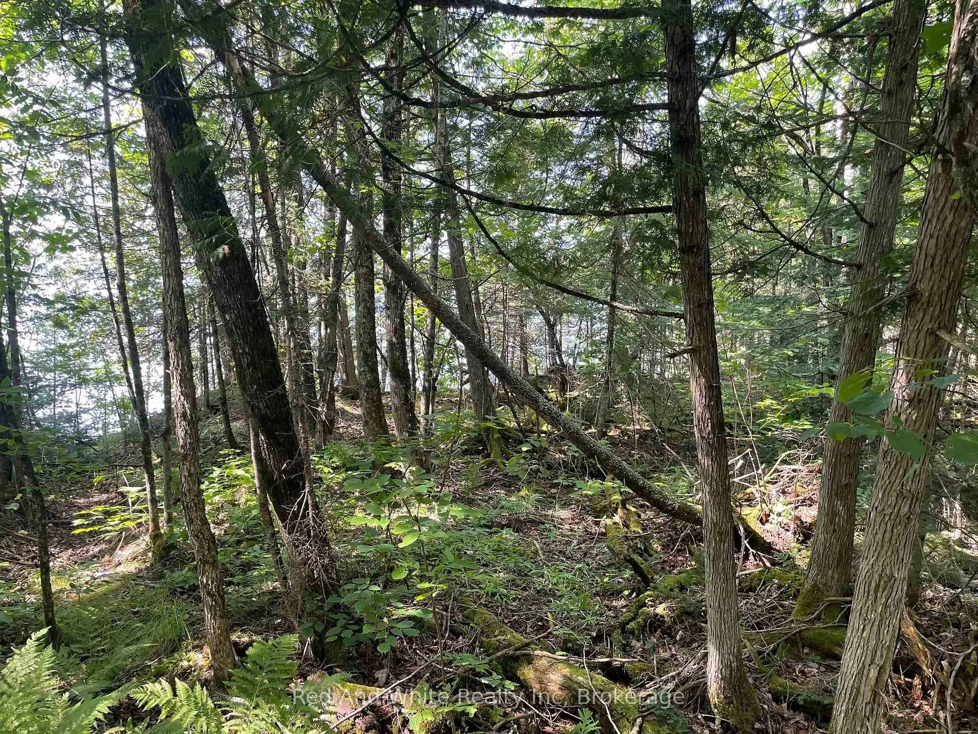 Photo 3 of 284 Chapman Drive, Magnetawan — HOMEH