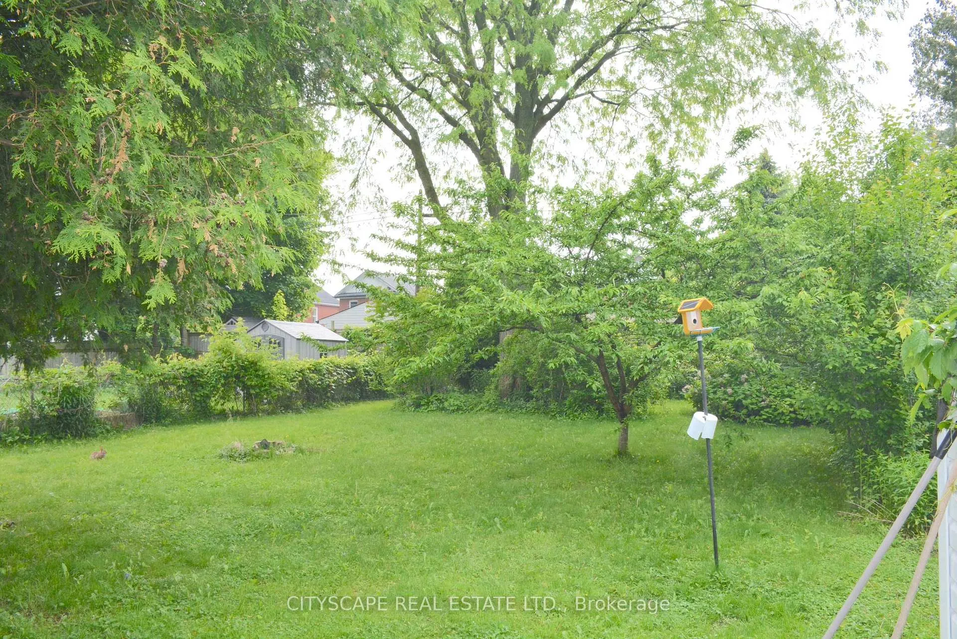 Photo 45 of 40 Elgin Street N, Cambridge — HOMEH
