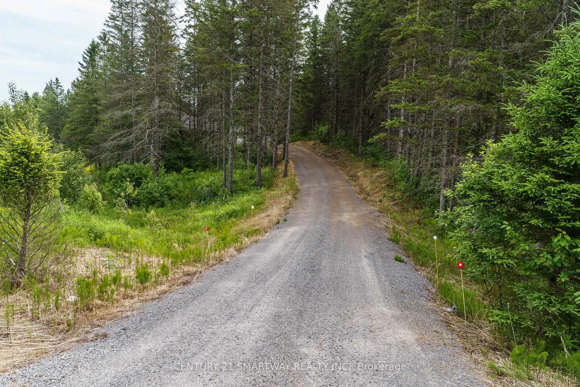 Photo 43 of 96 Main Street, Burk's Falls — HOMEH