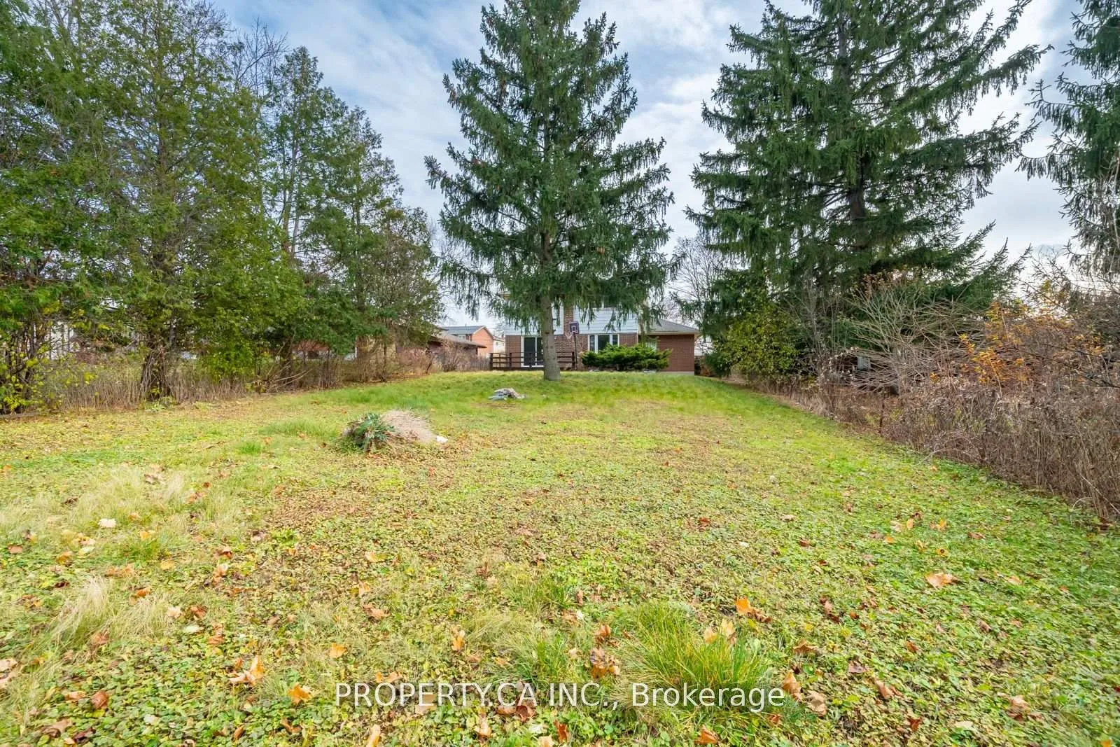 Photo 36 of 118 Crawforth Street, Whitby, Blue Grass Meadows — HOMEH