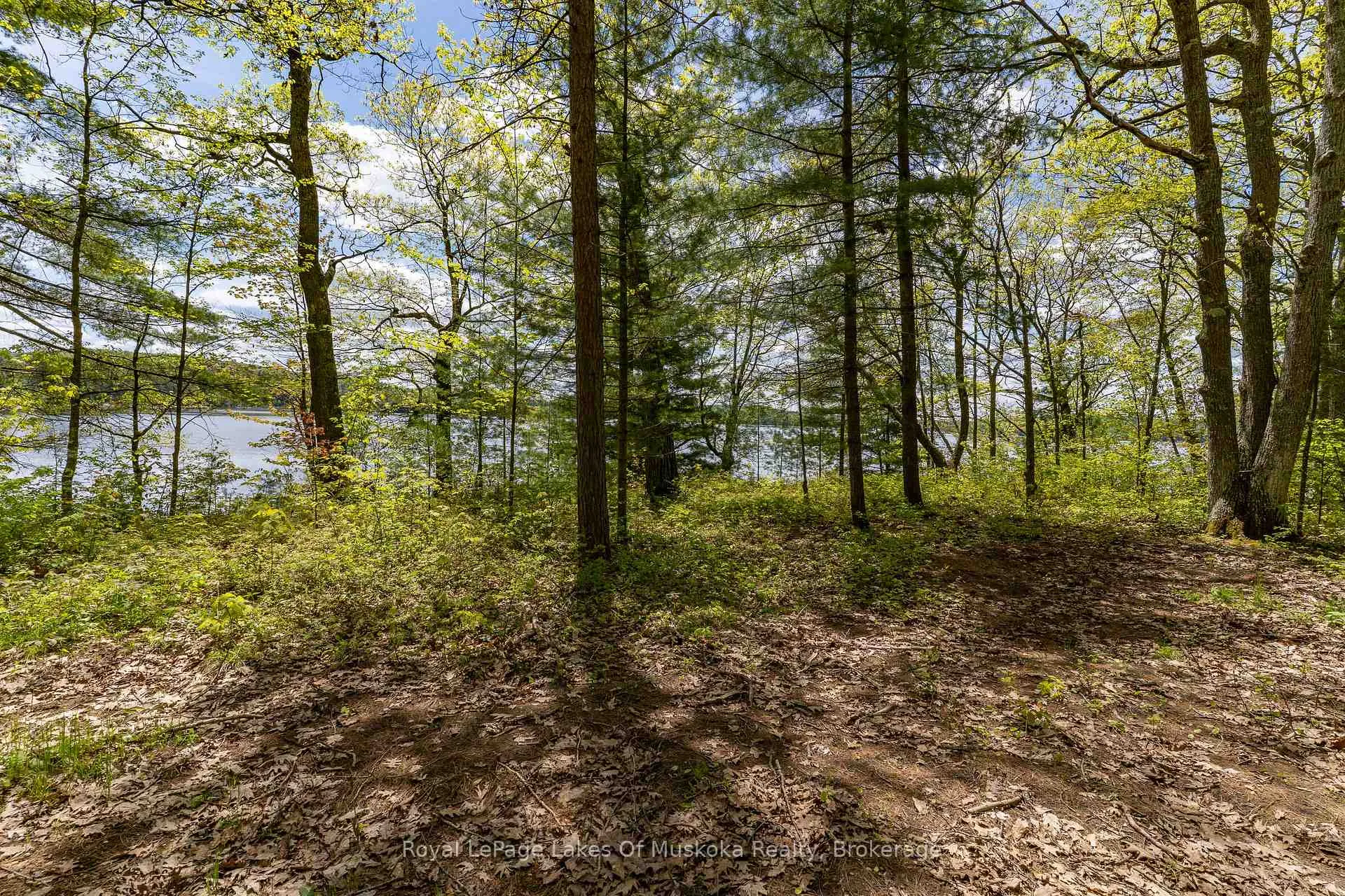 Photo 3 of 1047 Alice Drive, Algonquin Highlands, Livingstone — HOMEH
