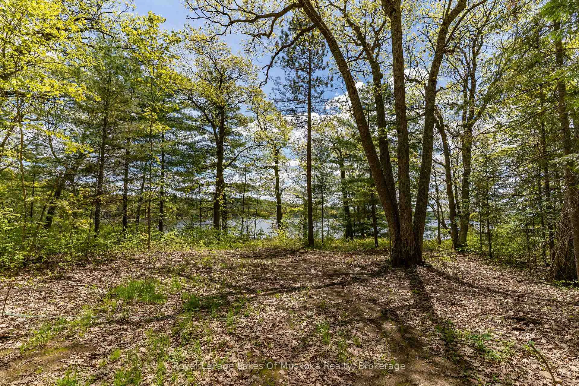 Photo 4 of 1047 Alice Drive, Algonquin Highlands, Livingstone — HOMEH