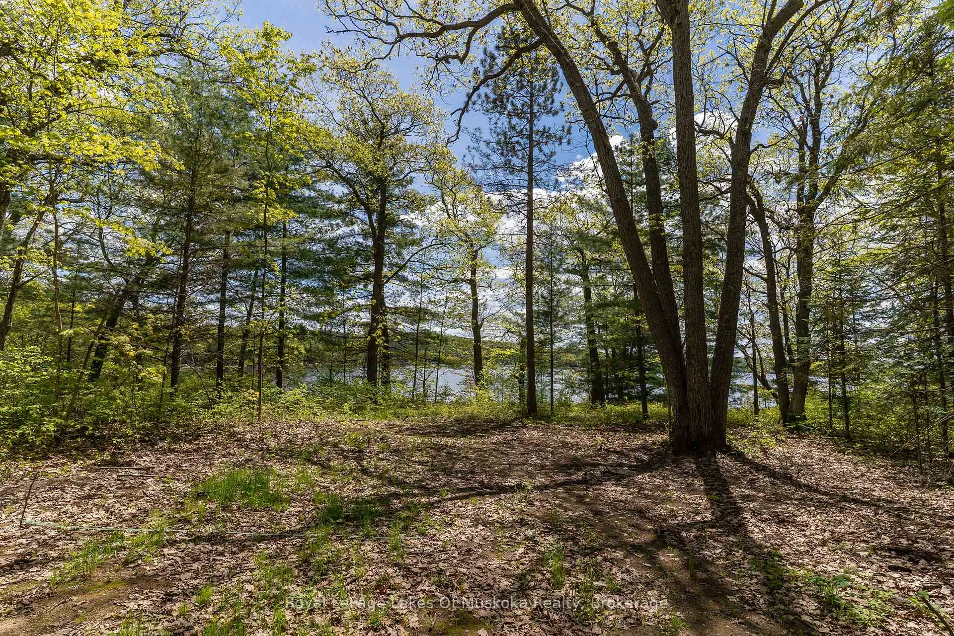 Photo 7 of 1047 Alice Drive, Algonquin Highlands, Livingstone — HOMEH