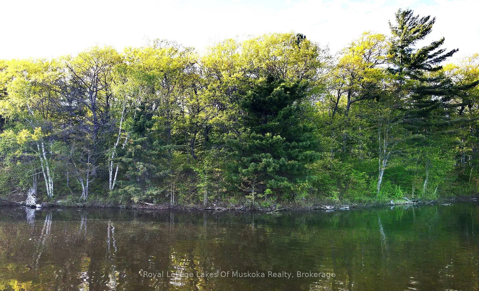 Photo 9 of 1047 Alice Drive, Algonquin Highlands, Livingstone — HOMEH
