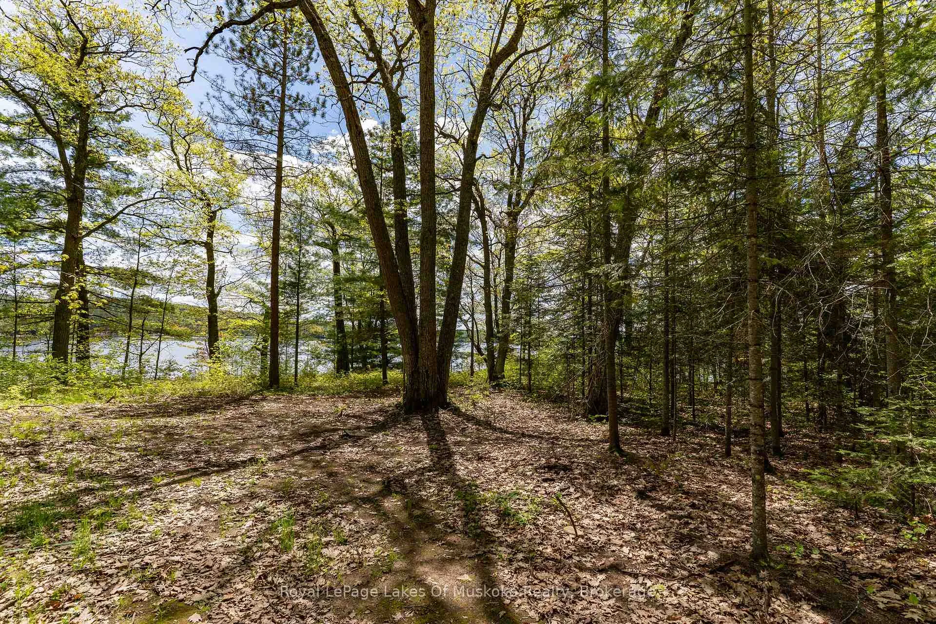Photo 16 of 1047 Alice Drive, Algonquin Highlands, Livingstone — HOMEH