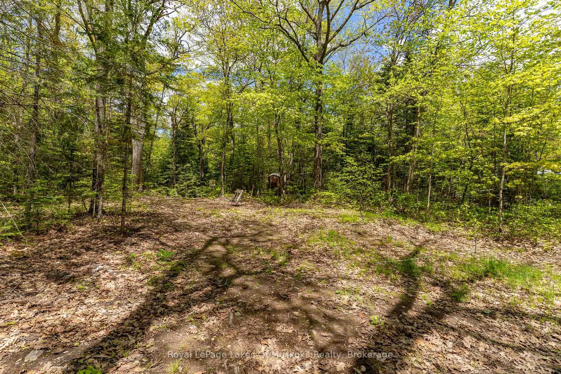 Photo 25 of 1047 Alice Drive, Algonquin Highlands, Livingstone — HOMEH