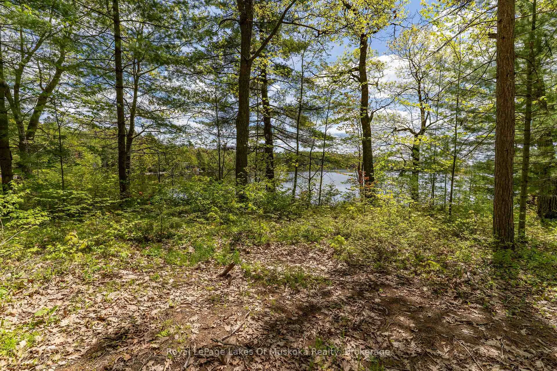 Photo 26 of 1047 Alice Drive, Algonquin Highlands, Livingstone — HOMEH
