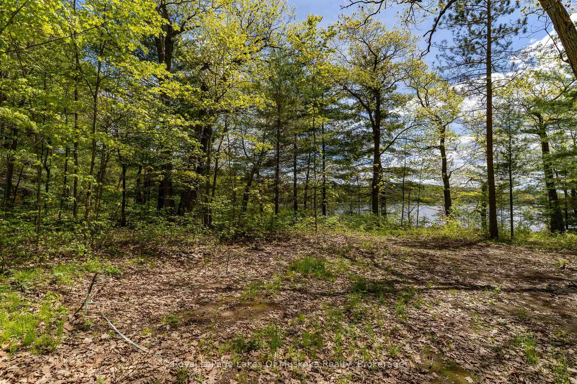 Photo 27 of 1047 Alice Drive, Algonquin Highlands, Livingstone — HOMEH