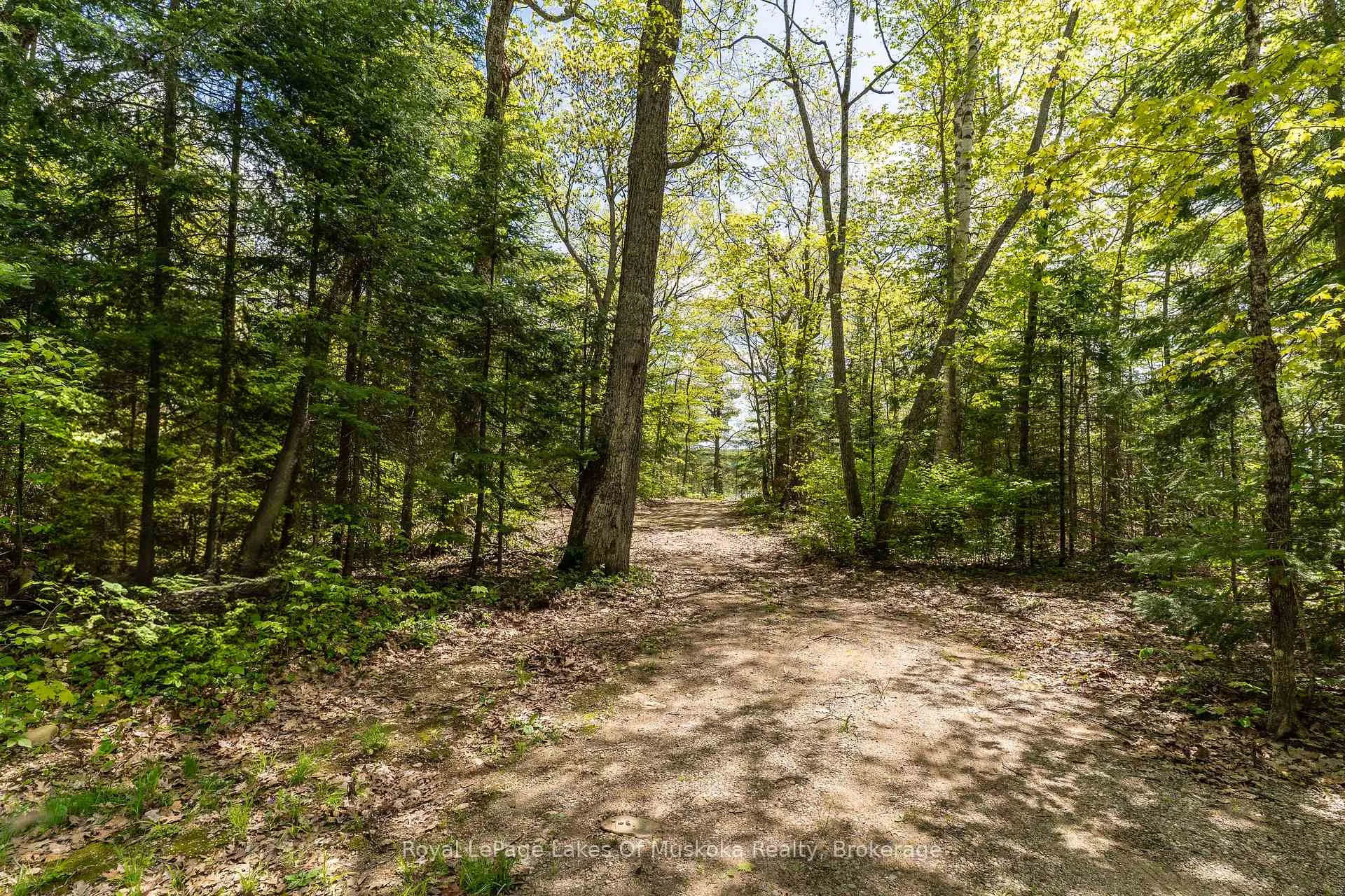 Photo 33 of 1047 Alice Drive, Algonquin Highlands, Livingstone — HOMEH