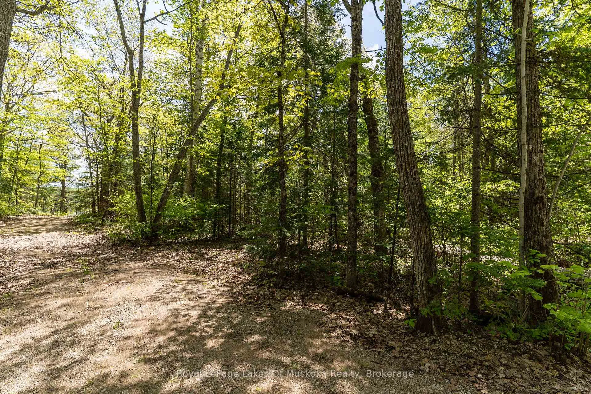 Photo 34 of 1047 Alice Drive, Algonquin Highlands, Livingstone — HOMEH
