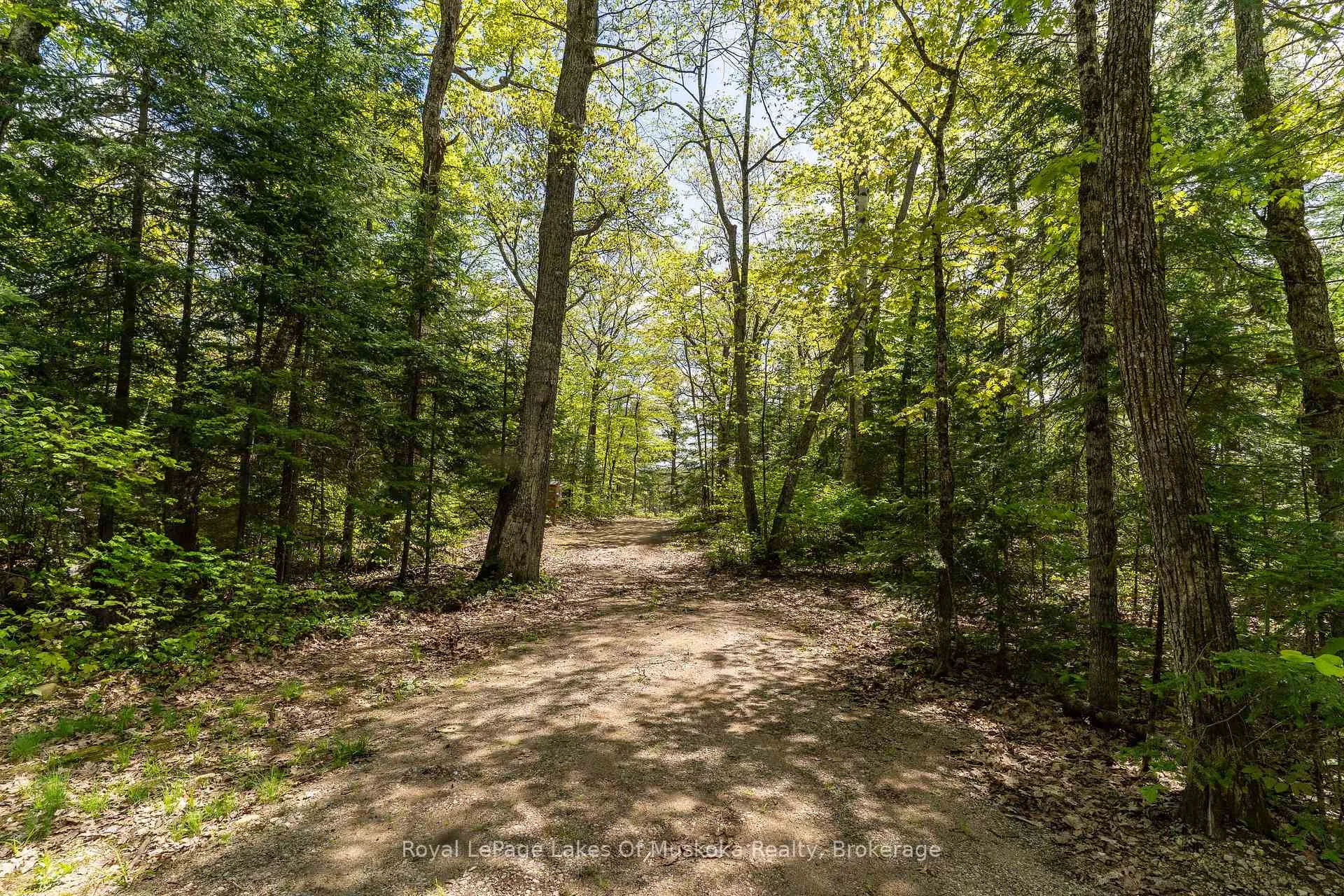 Photo 35 of 1047 Alice Drive, Algonquin Highlands, Livingstone — HOMEH